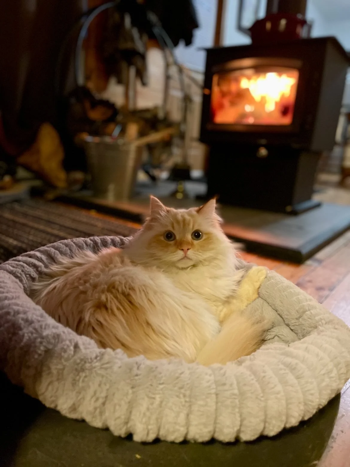 with fireplaces 1.JPG