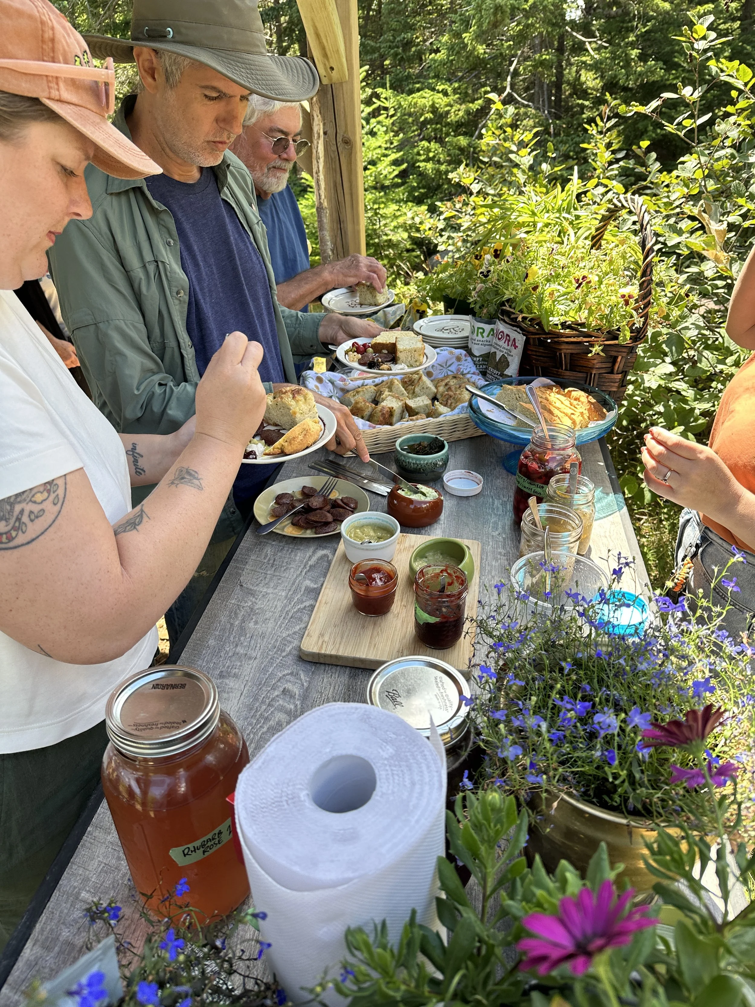 Edible Plants &amp; Seaweed