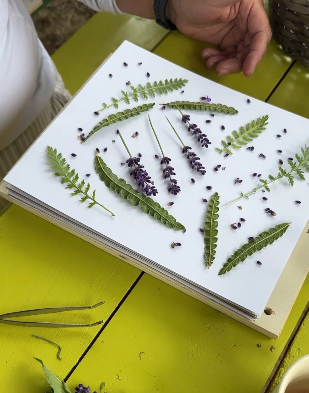 Sip n Press Workshop