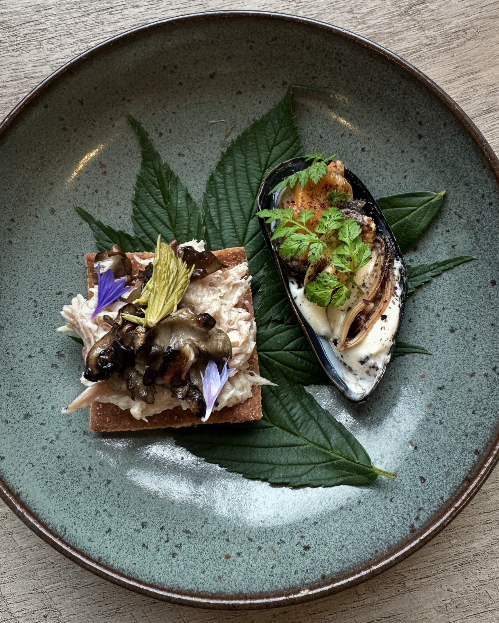 Bitehouse Fungi Dinner Party