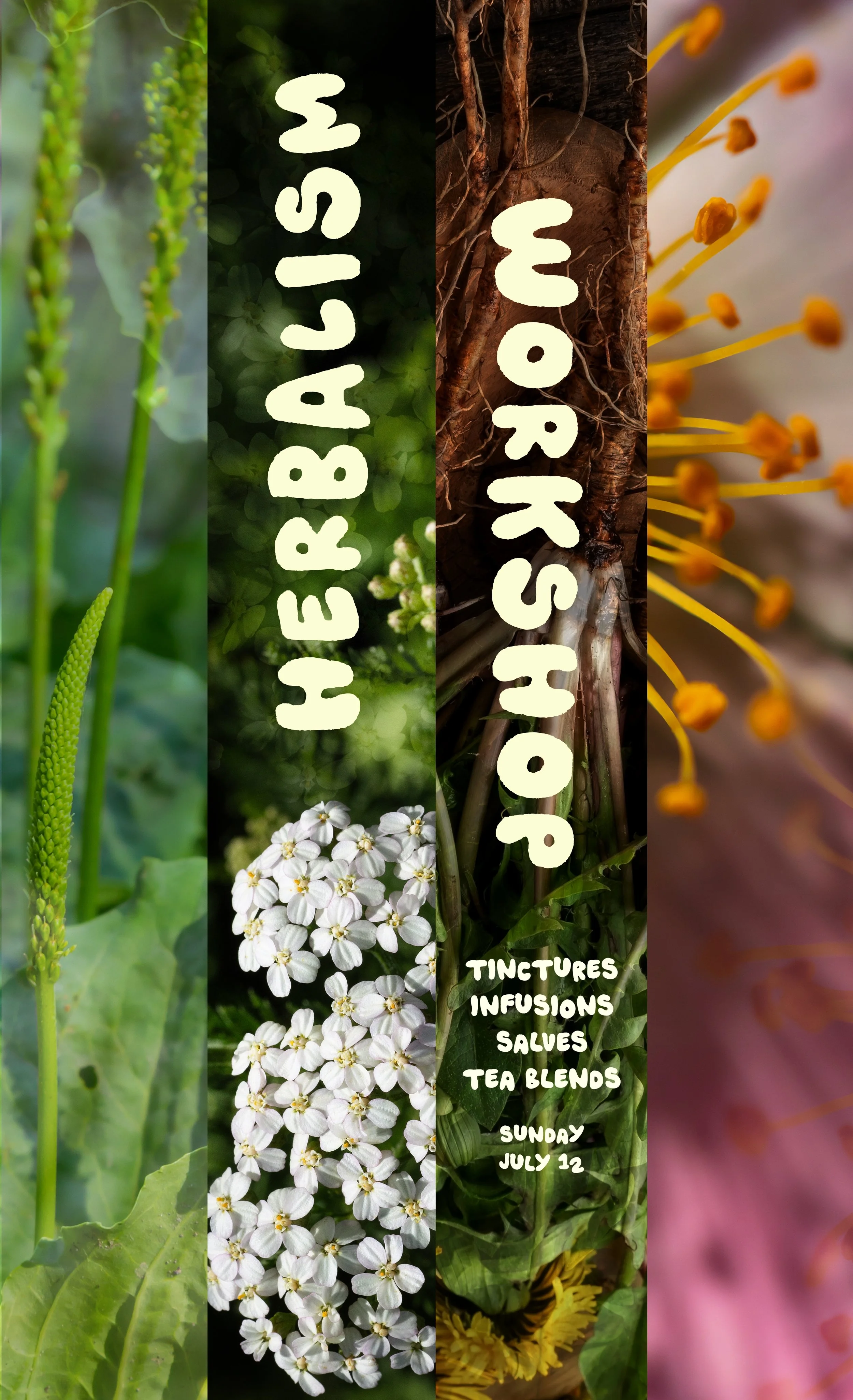 HERBALISM: PART II