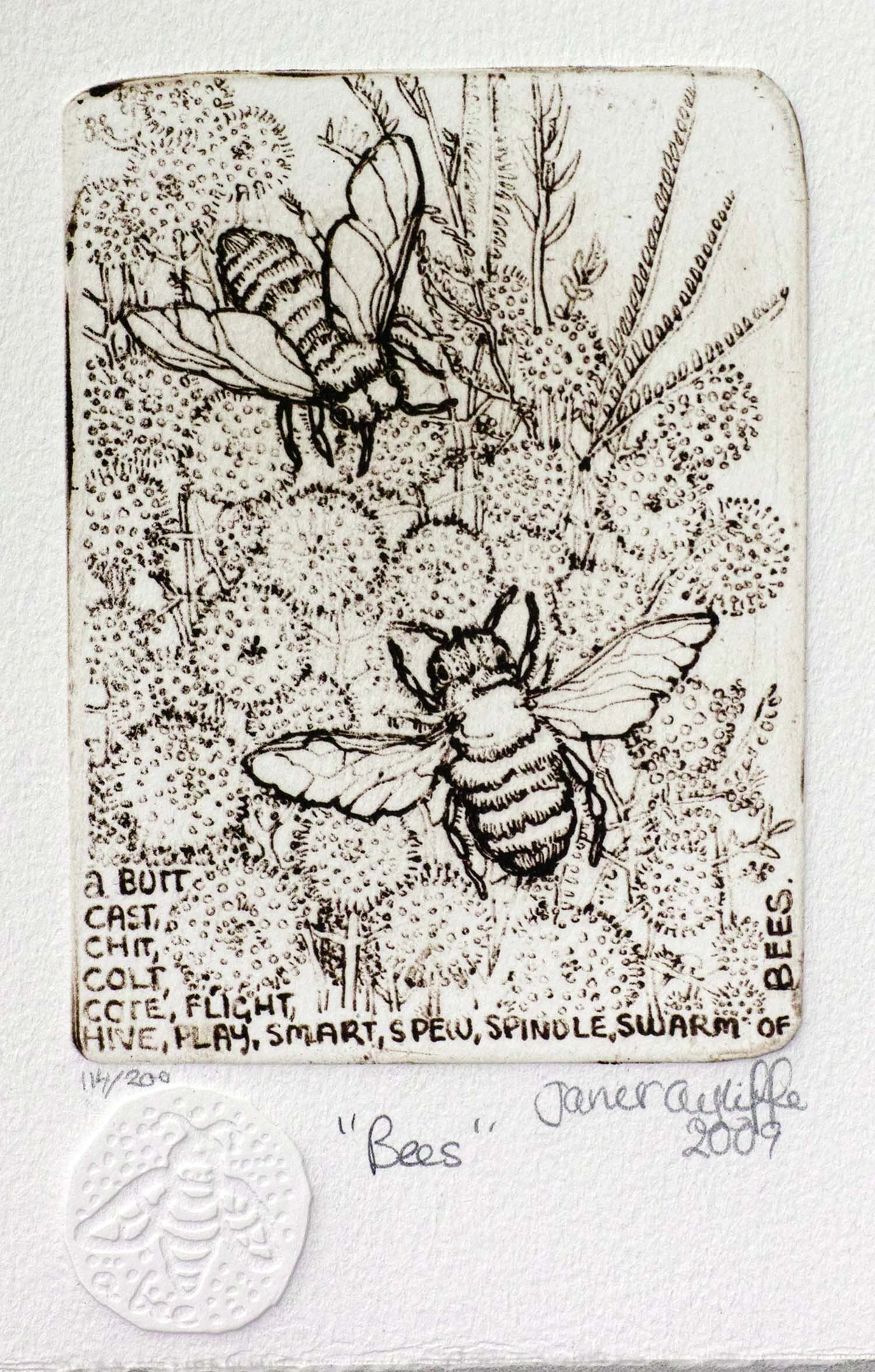 Bees magnification.jpg