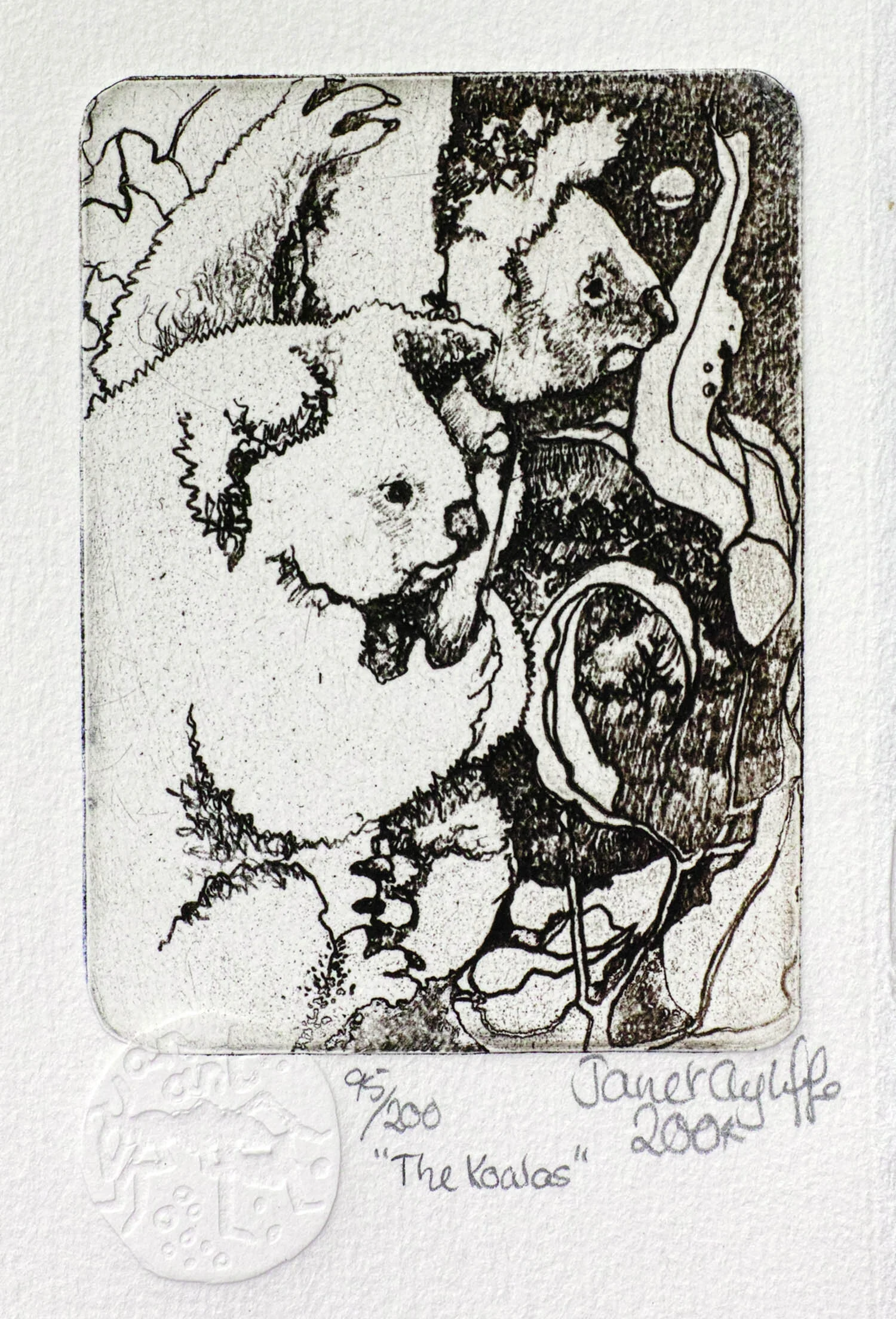 The Koalas magnification.jpg