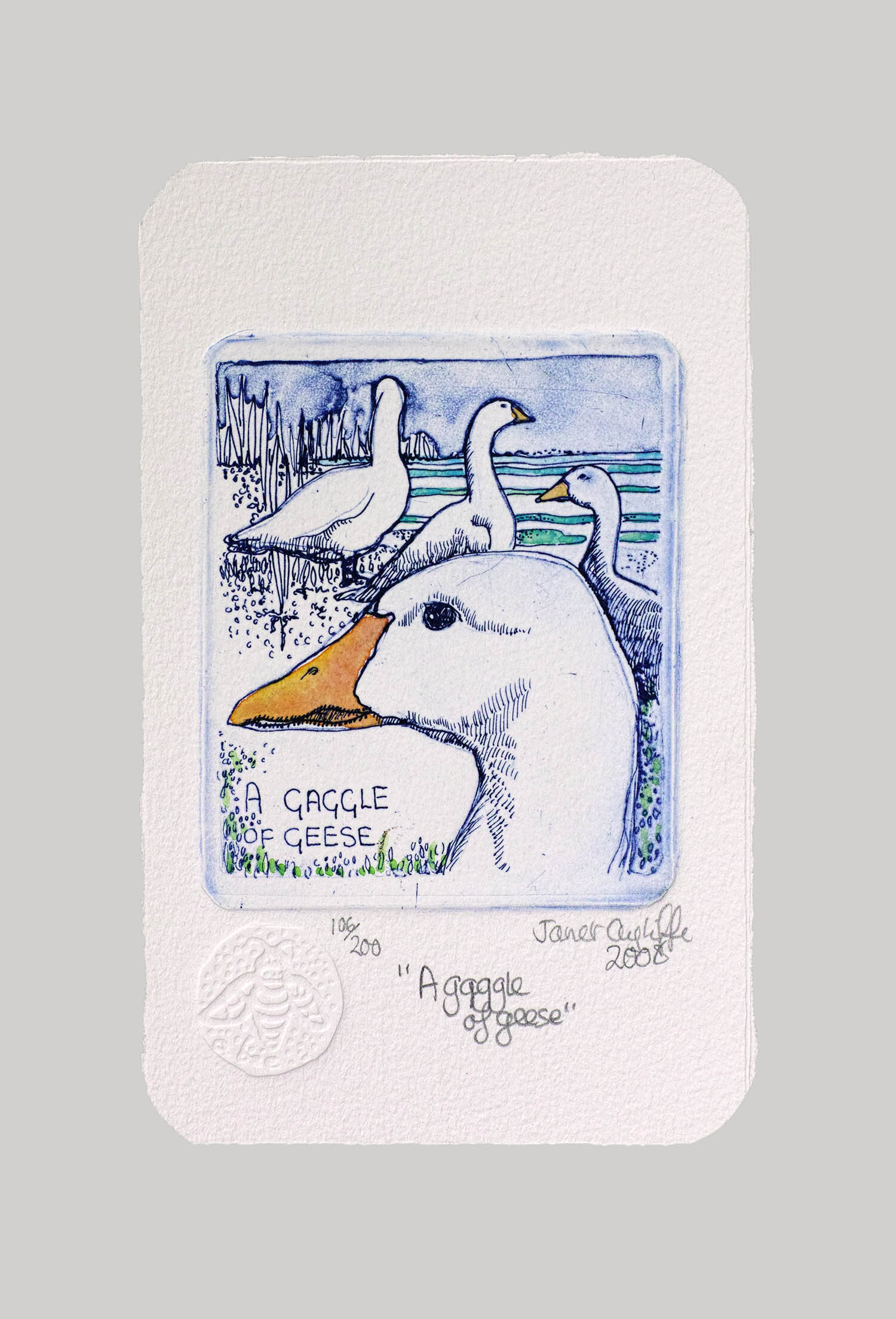 A Gaggle of Geece grey landing.jpg