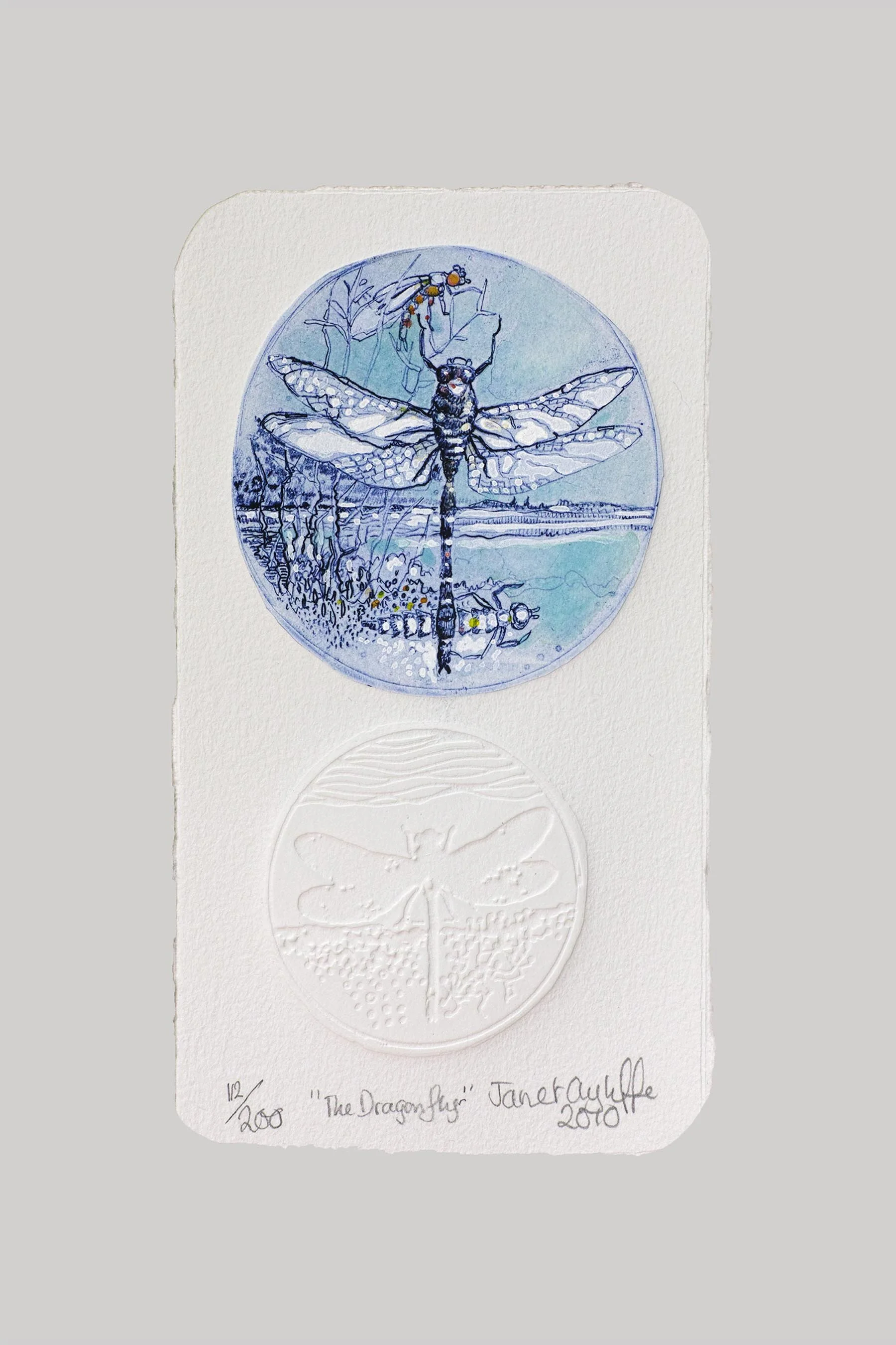The Dragonfly grey landing.jpg