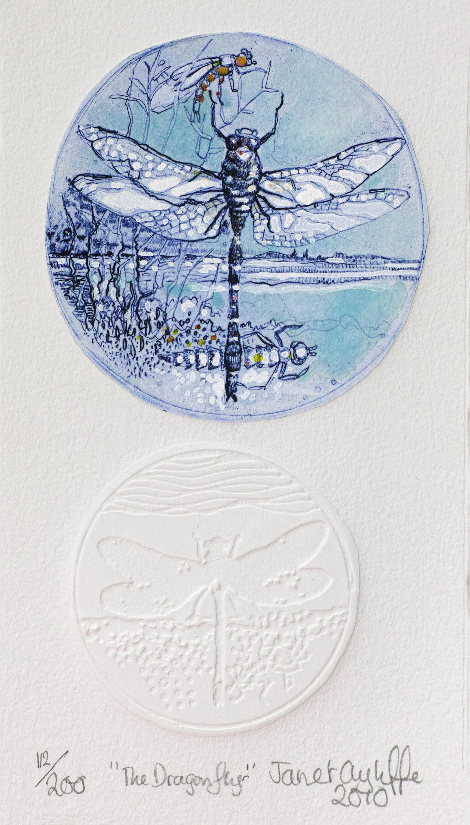 The Dragonfly magnification.jpg
