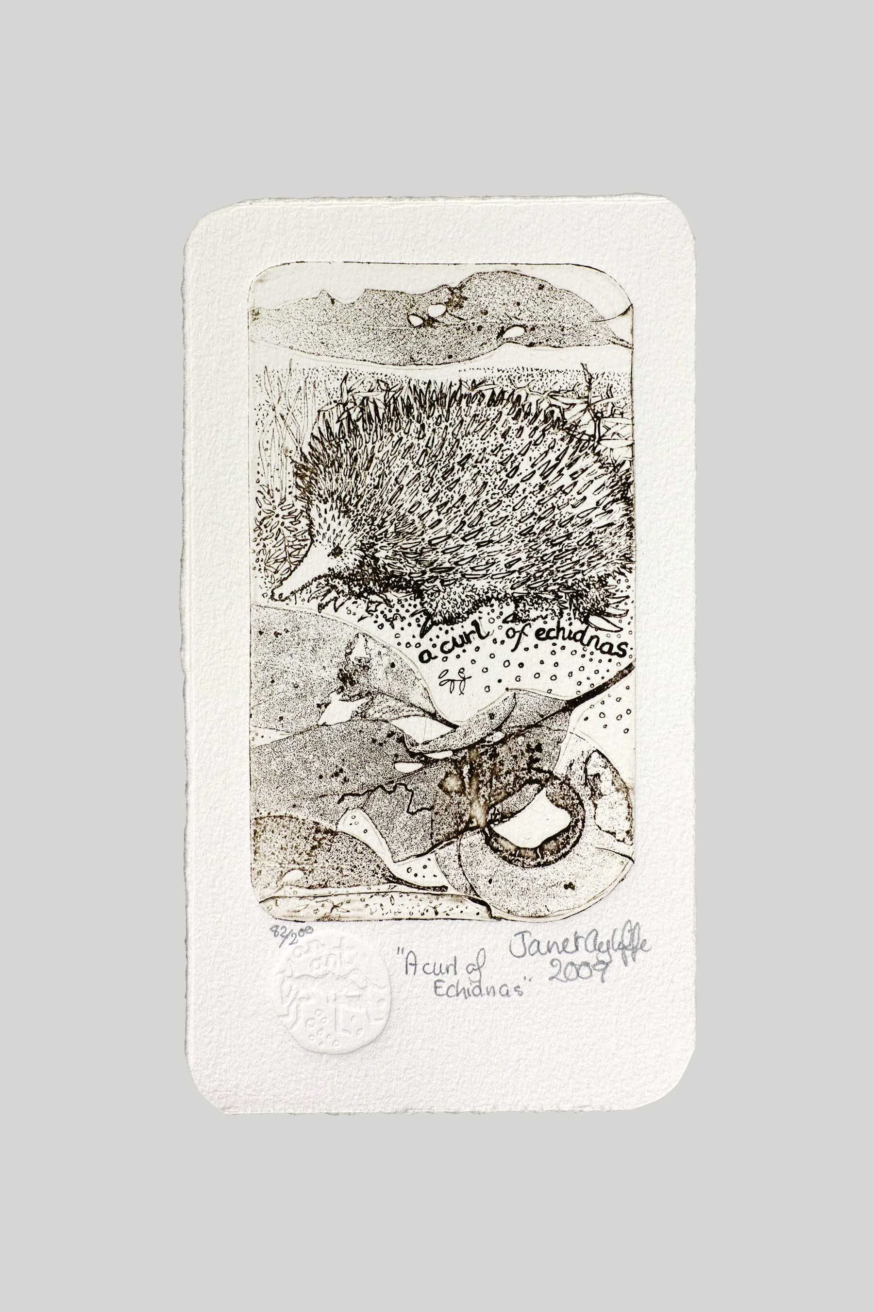 A Curl of Echidnas grey landing.jpg