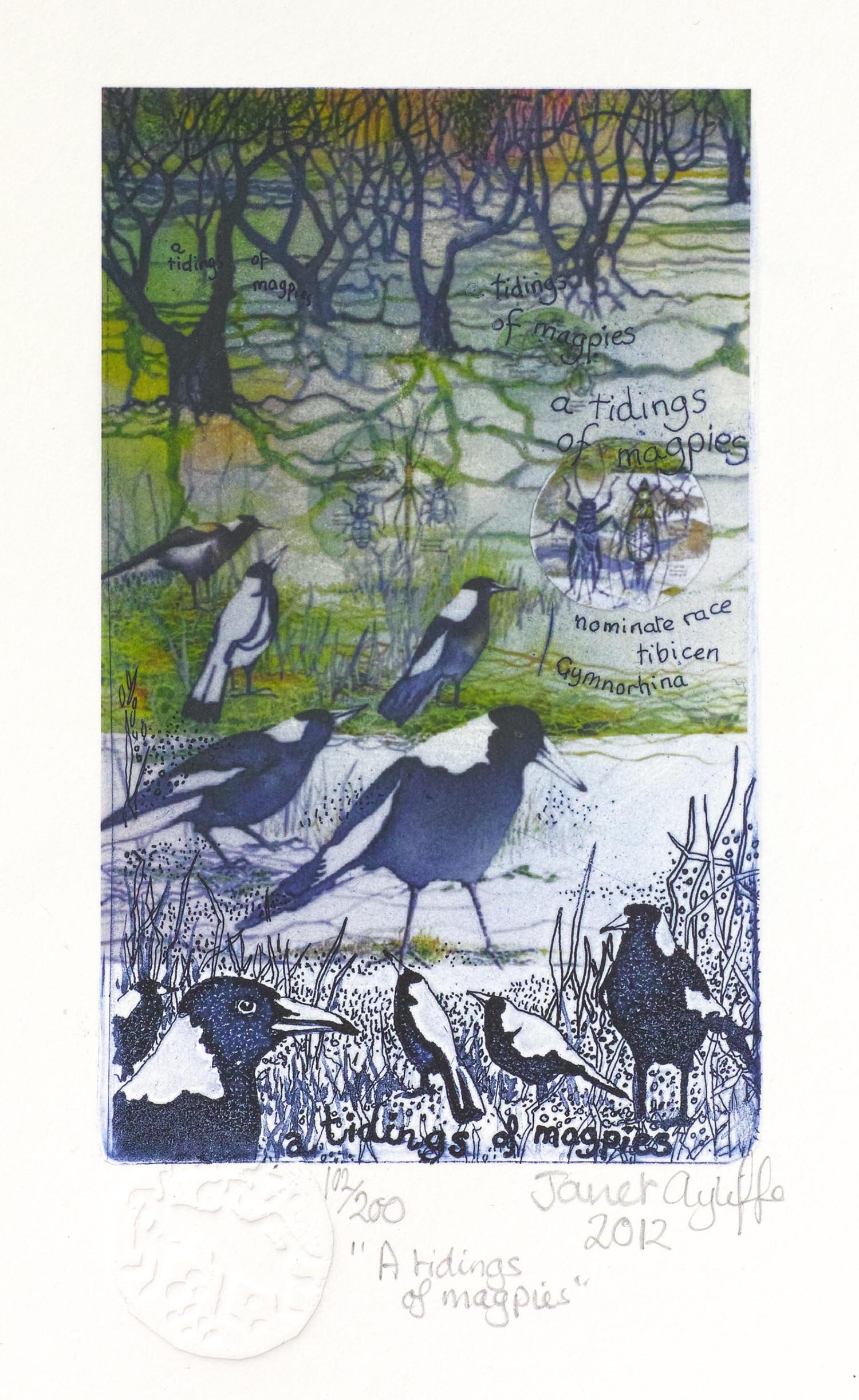 A tidings of magpies magnification.jpg