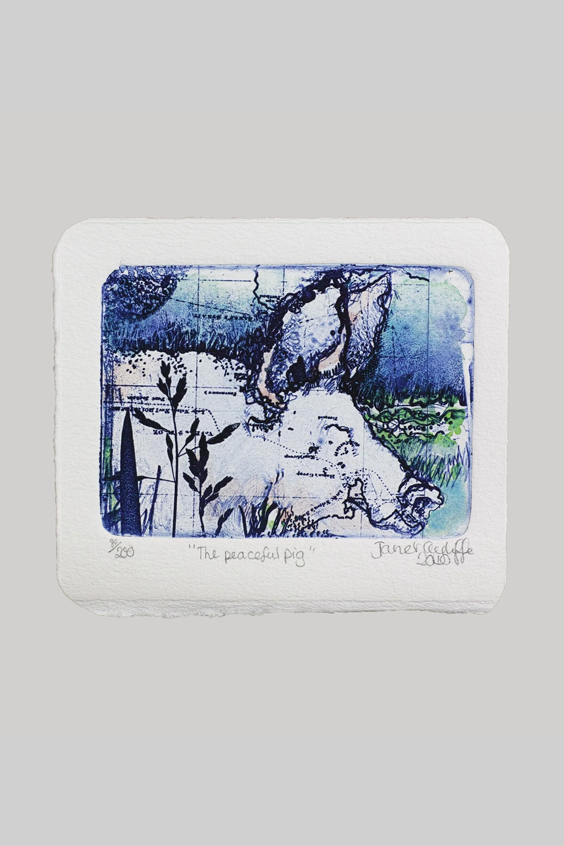 The peacefull pig  grey landing.jpg