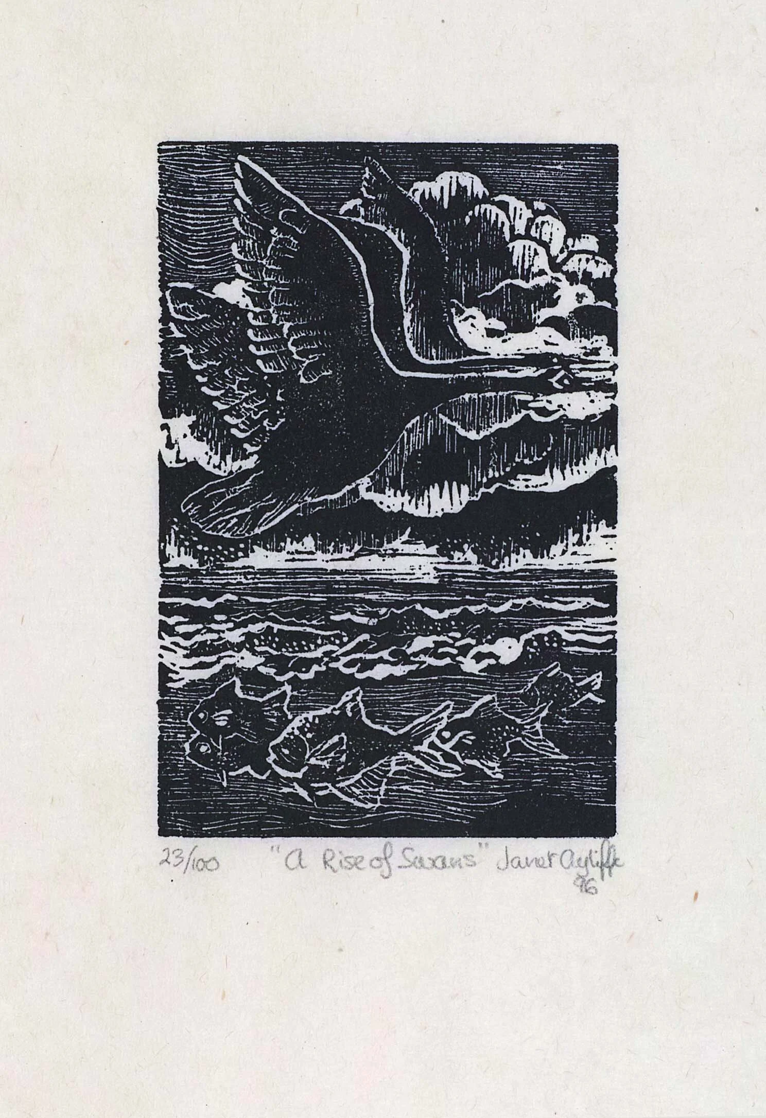 A Rise of Swans - magnification.jpg
