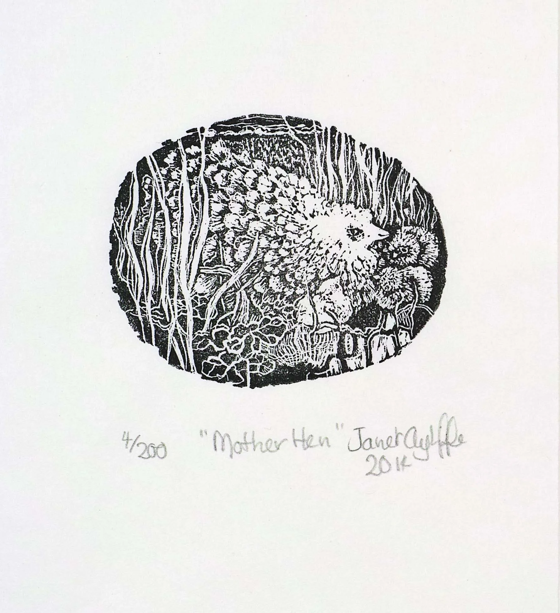 Mother Hen - magnification.jpg