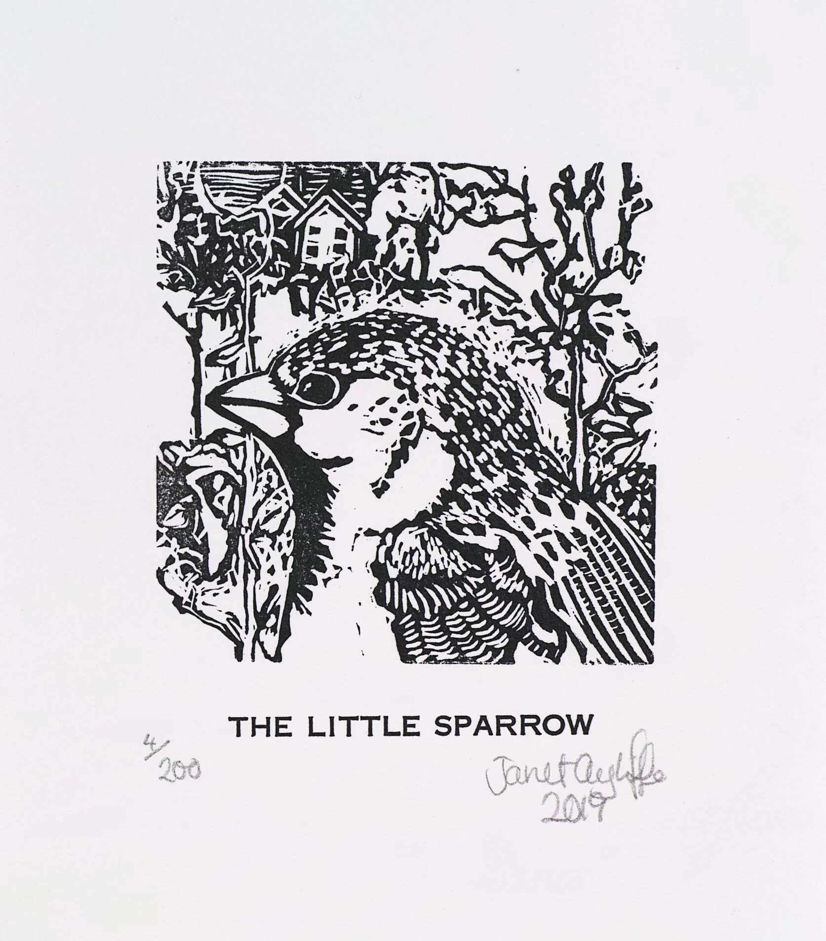 The Little Sparrow - magnification.jpg