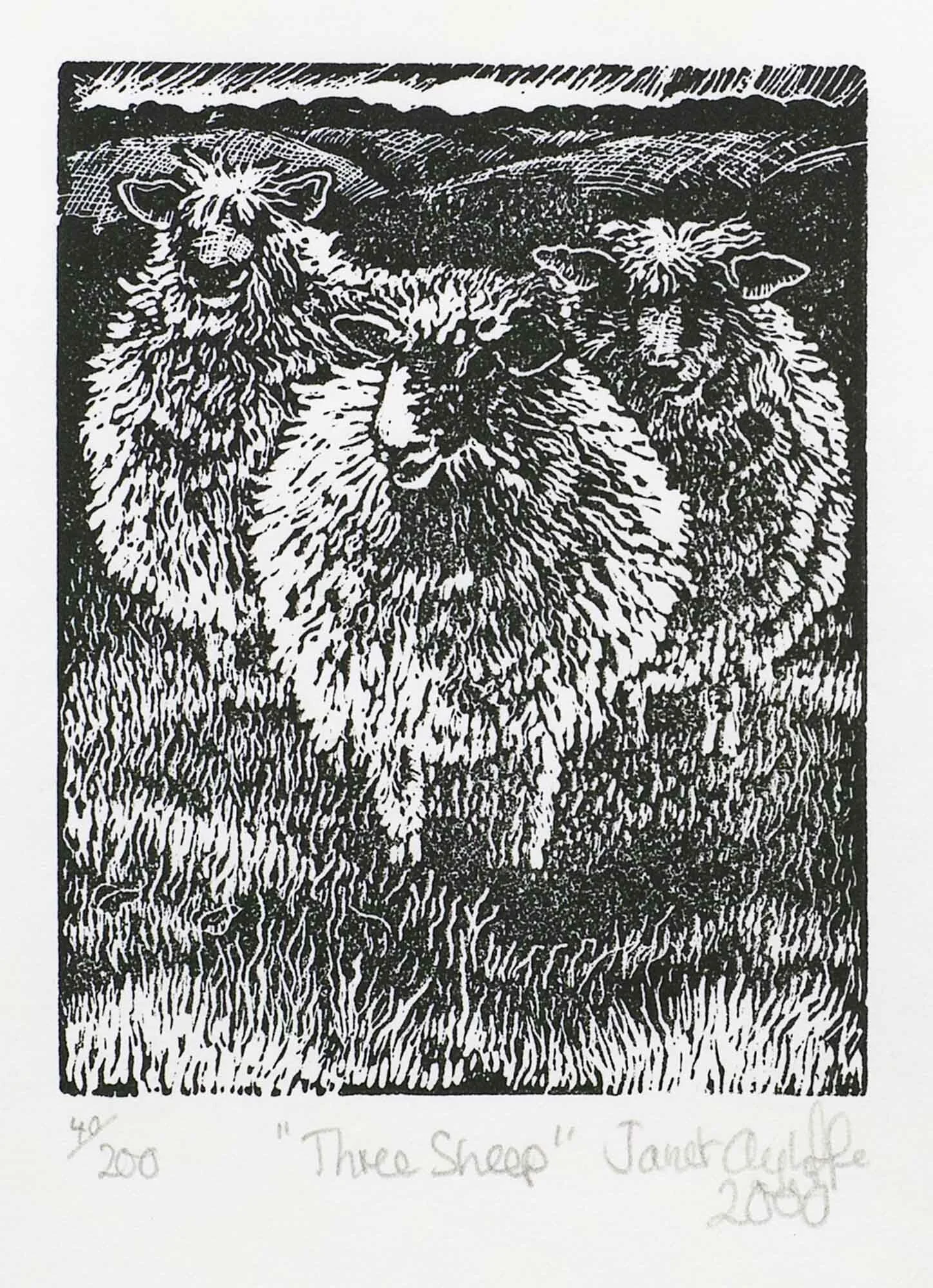 Three Sheep - magnification.jpg