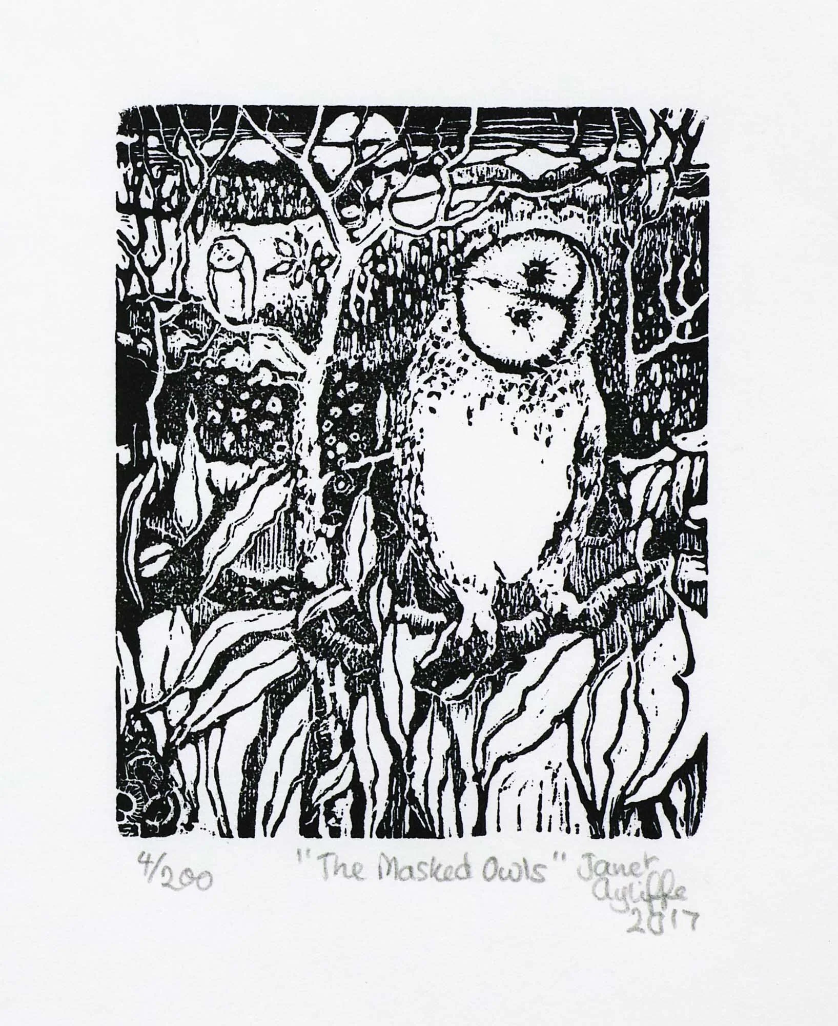 The Masked Owl.jpg