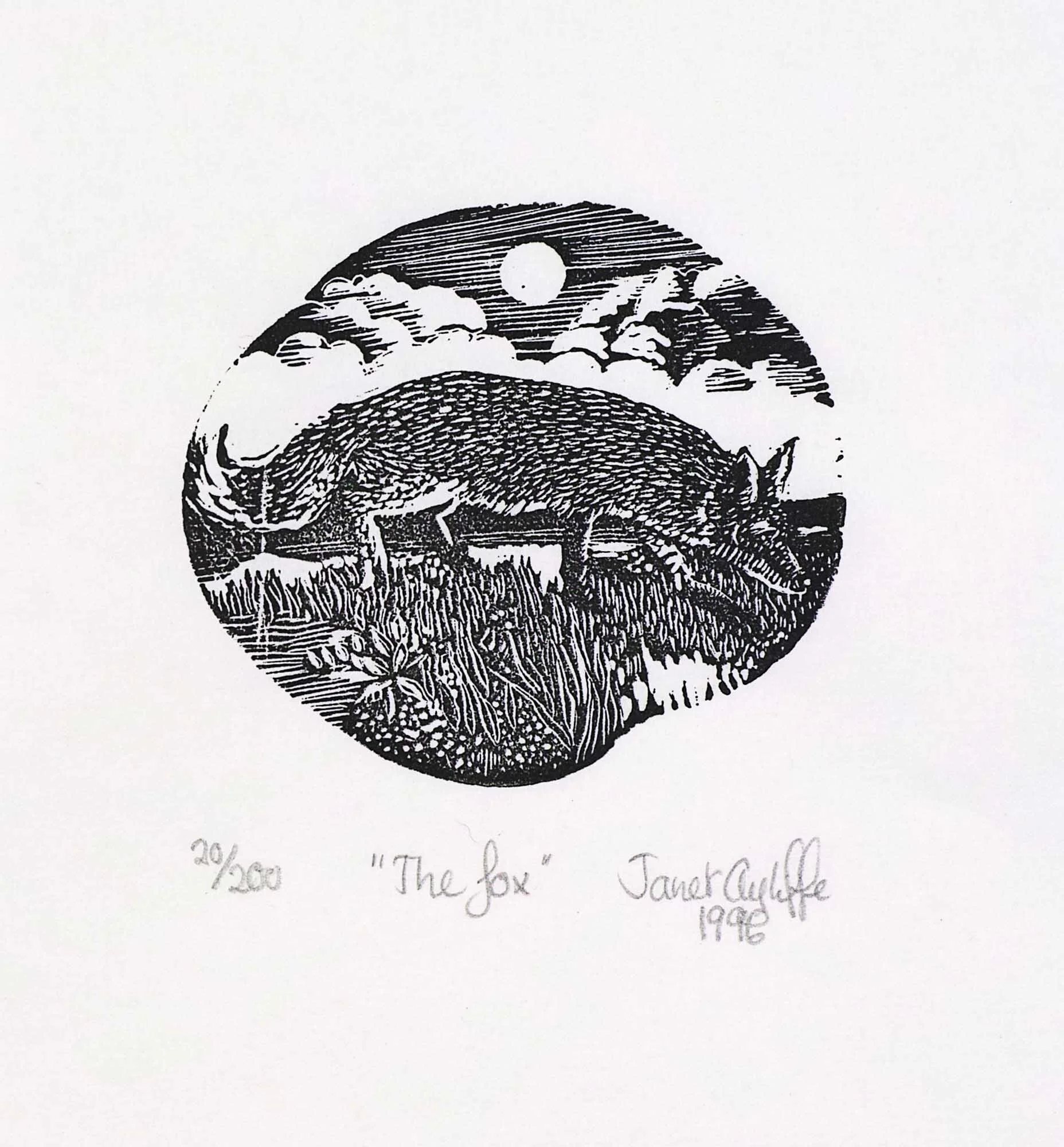 The Fox - magnification.jpg