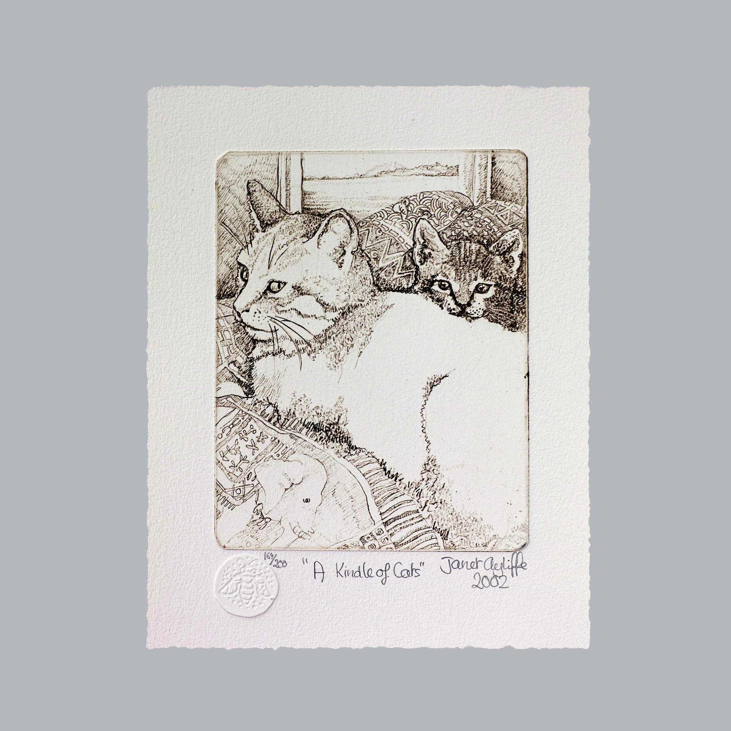 A kindle of cats 2002 - landing.jpg