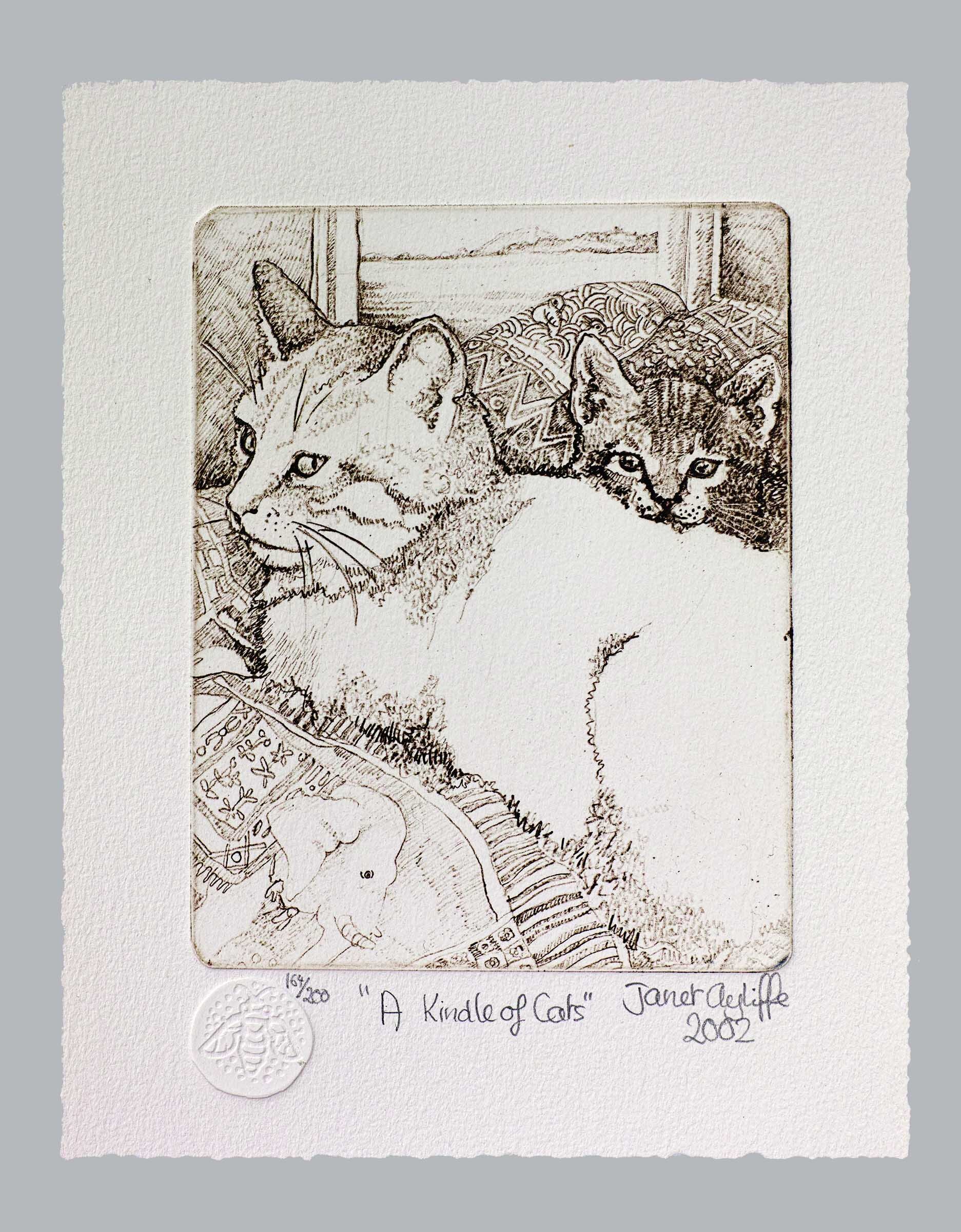 A kindle of cats 2002 - magnification.jpg