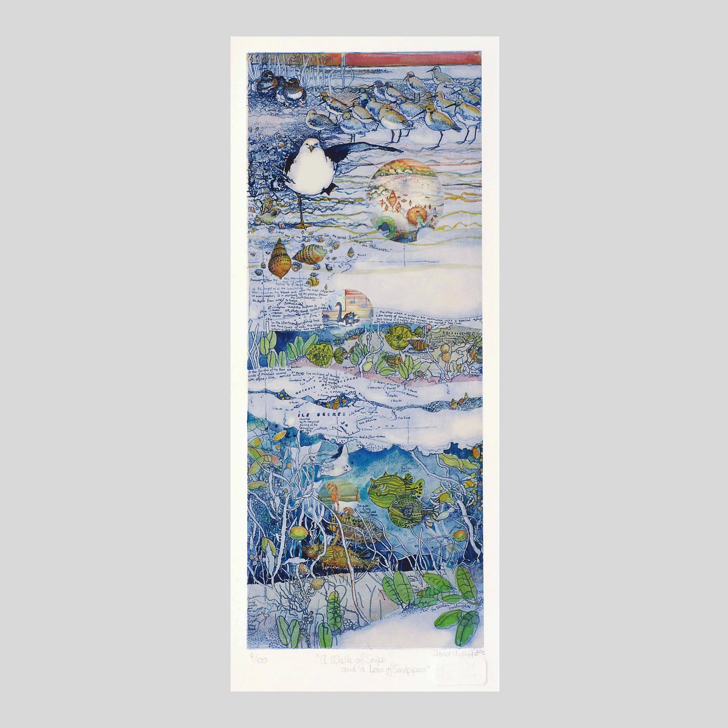 A Walk of Snipe and a Lean of Sandpipers - landing.jpg