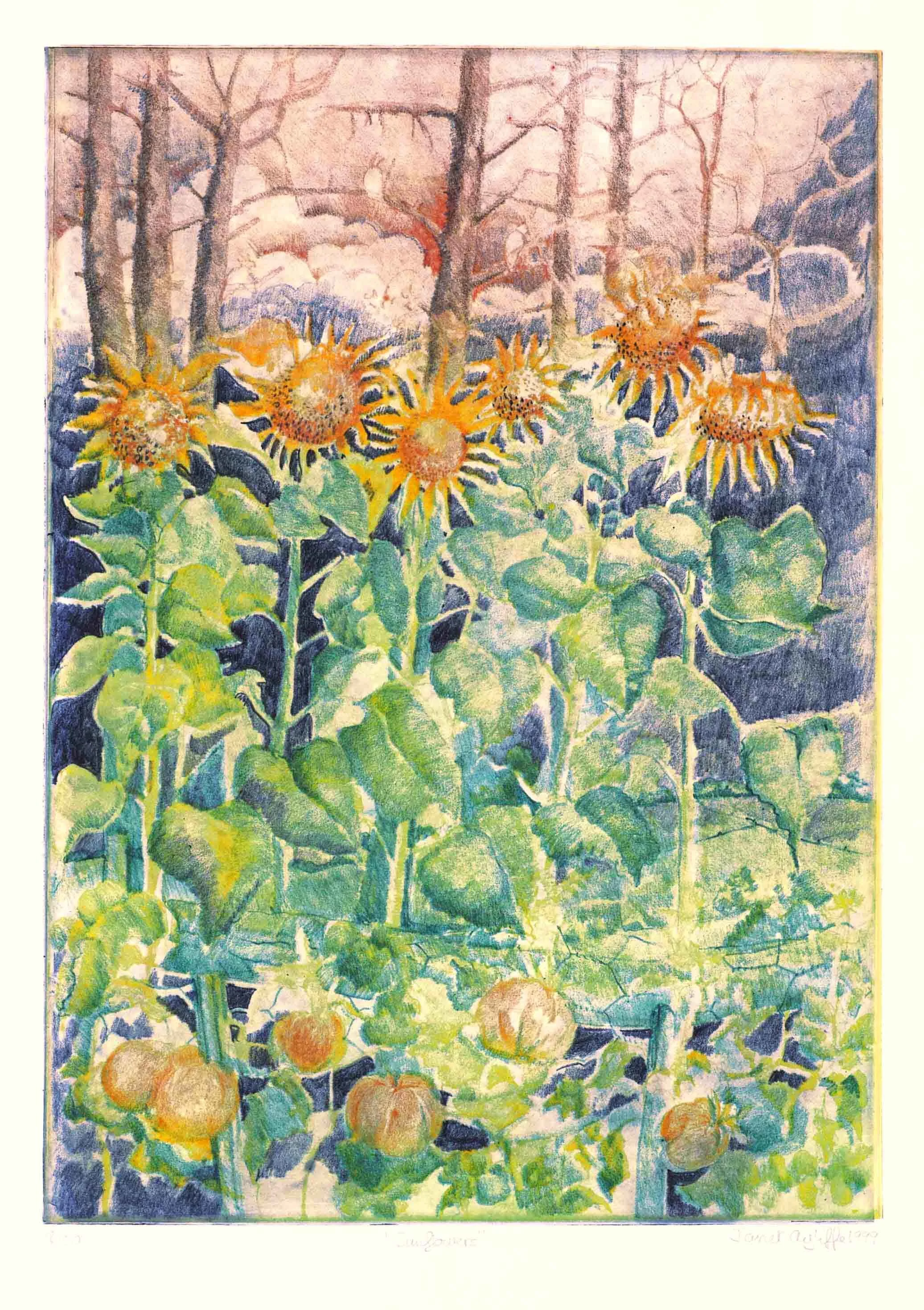 Sunflowers - magnification.jpg