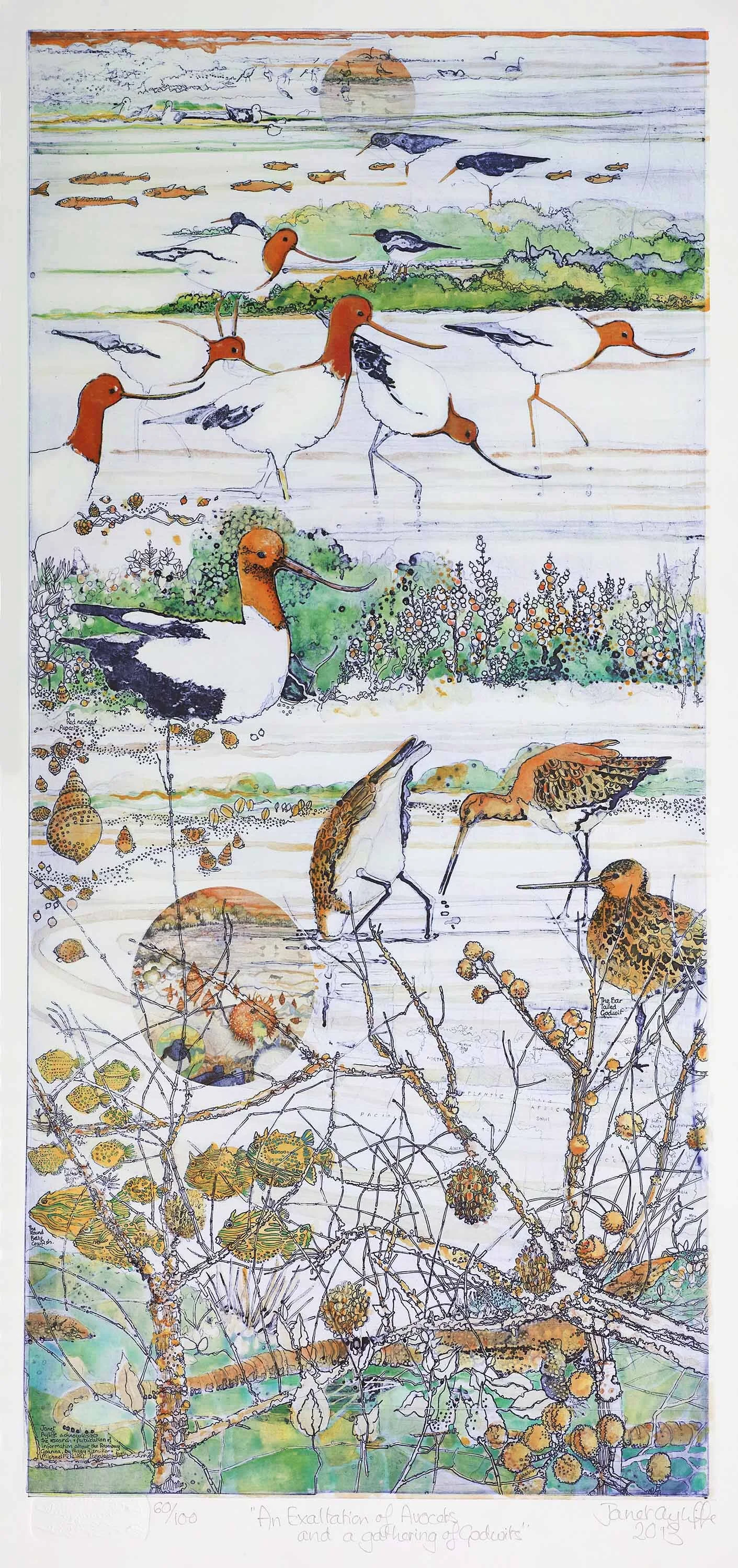 An Exaltation of Avocetsand a Gathering of Godwits - magnification.jpg