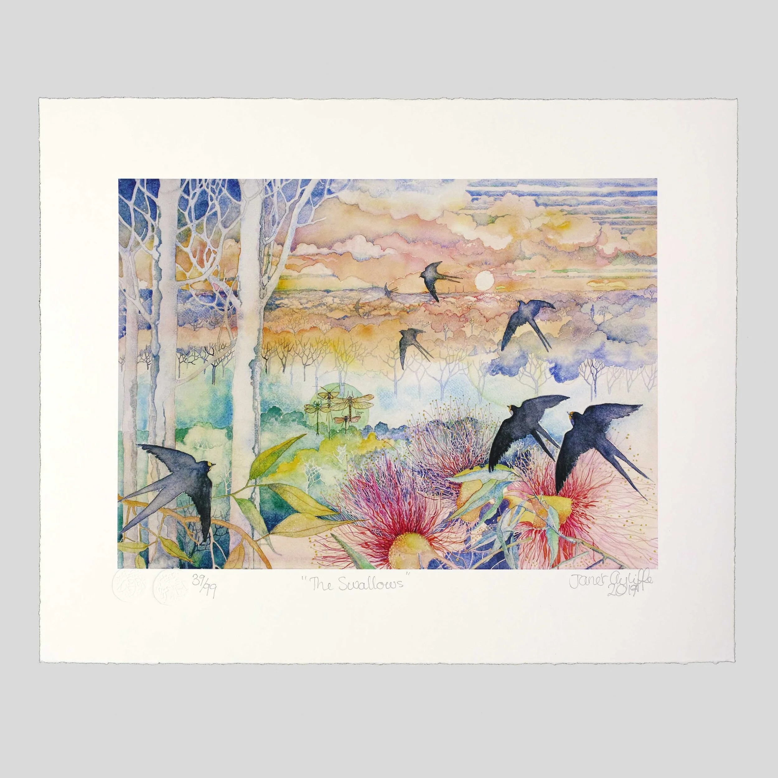 The Swallows Landing Grey Background.jpg