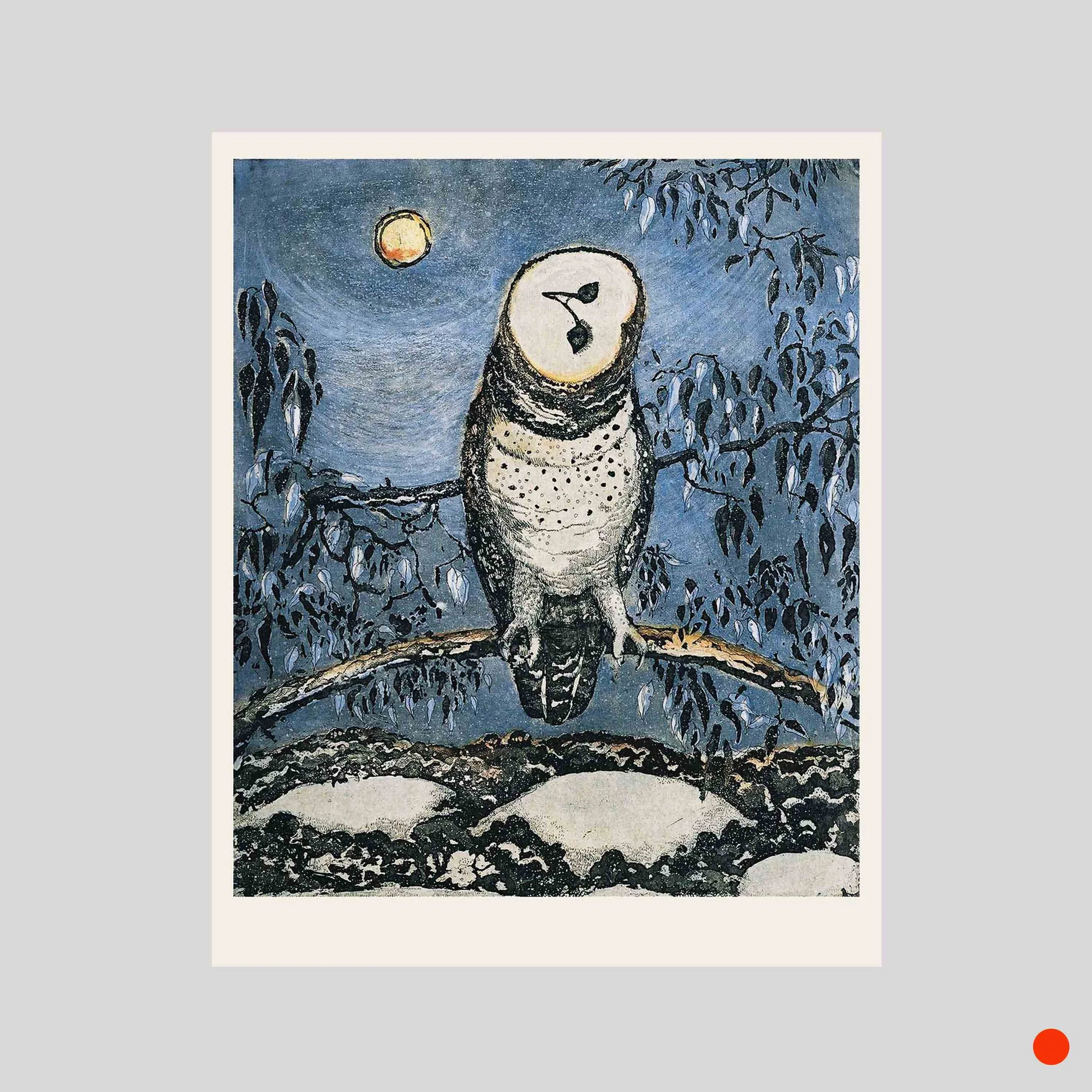 Brown Owl  - landing.jpg