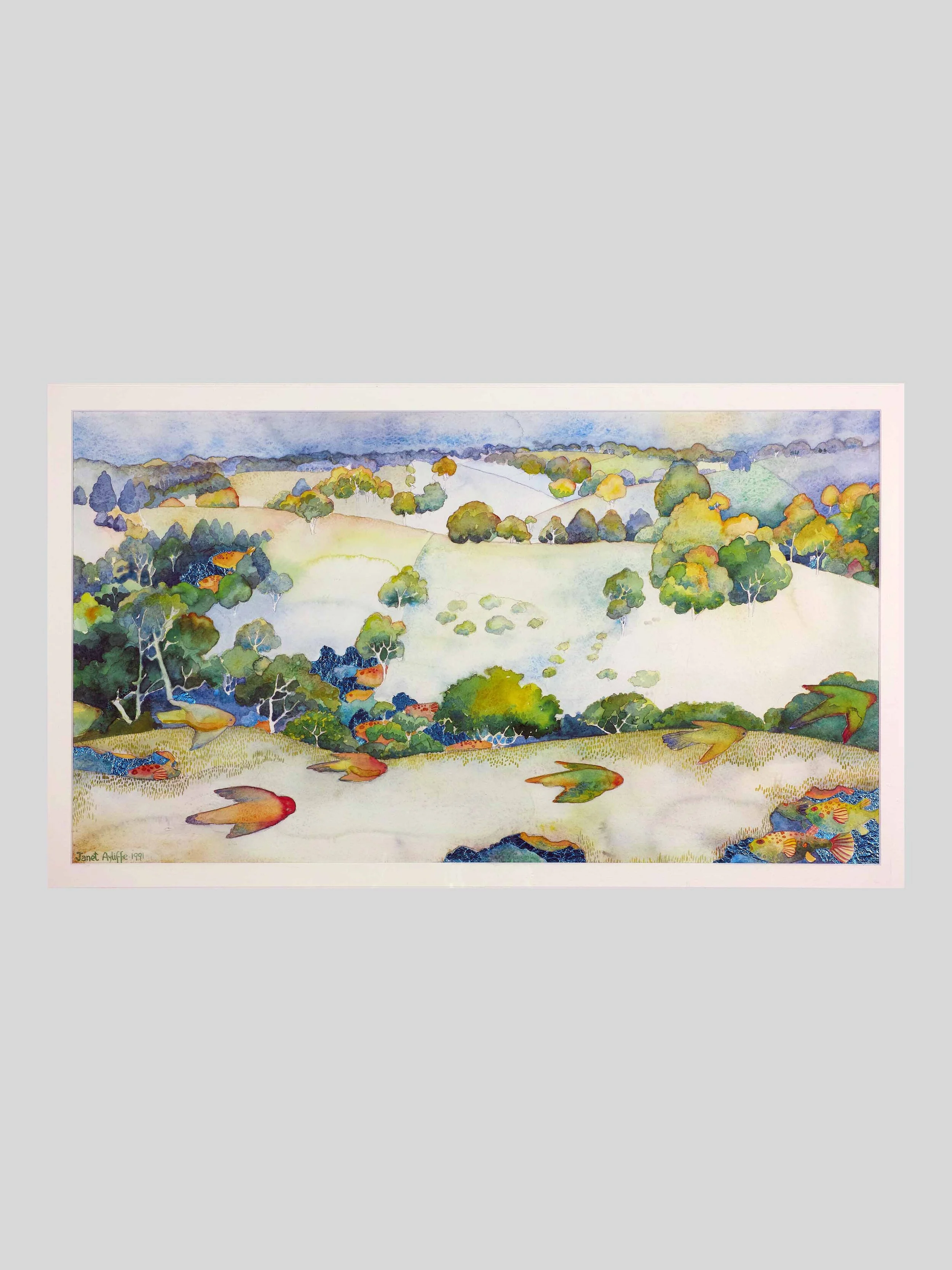 Lorikeets over Kangarilla  - landing.jpg