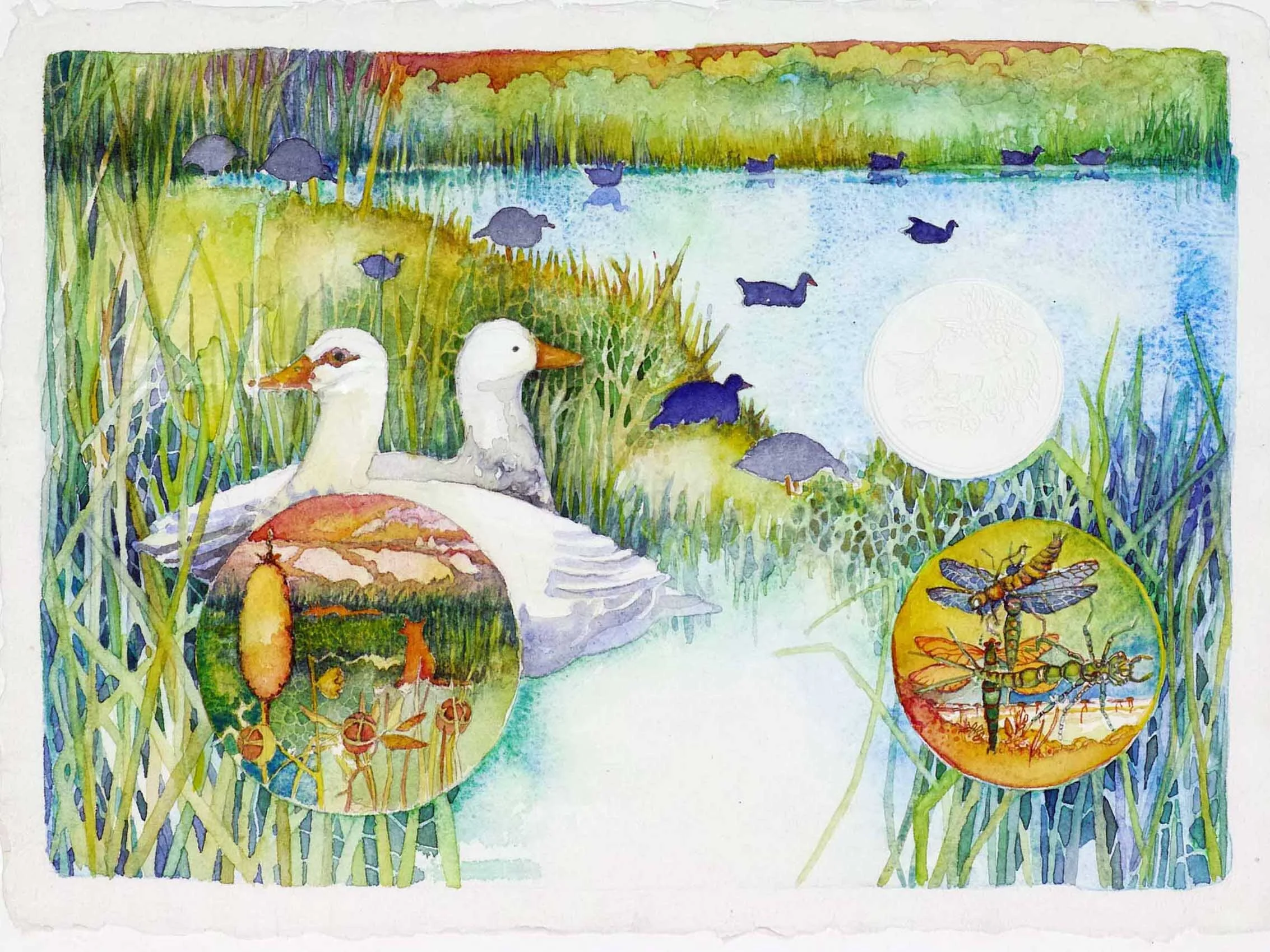 The Sacred Ibis - watercolour - crop2.jpg