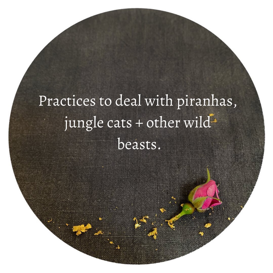 Life hack inspired by teacher and author Ann Weiser Cornell:⠀

When in the depths of our  inner experiences, we often name it this way: I am ____ ( scared, angry, confused). ⠀
⠀
Another option is this: Some part of me is _____ ( scared, angry, confus