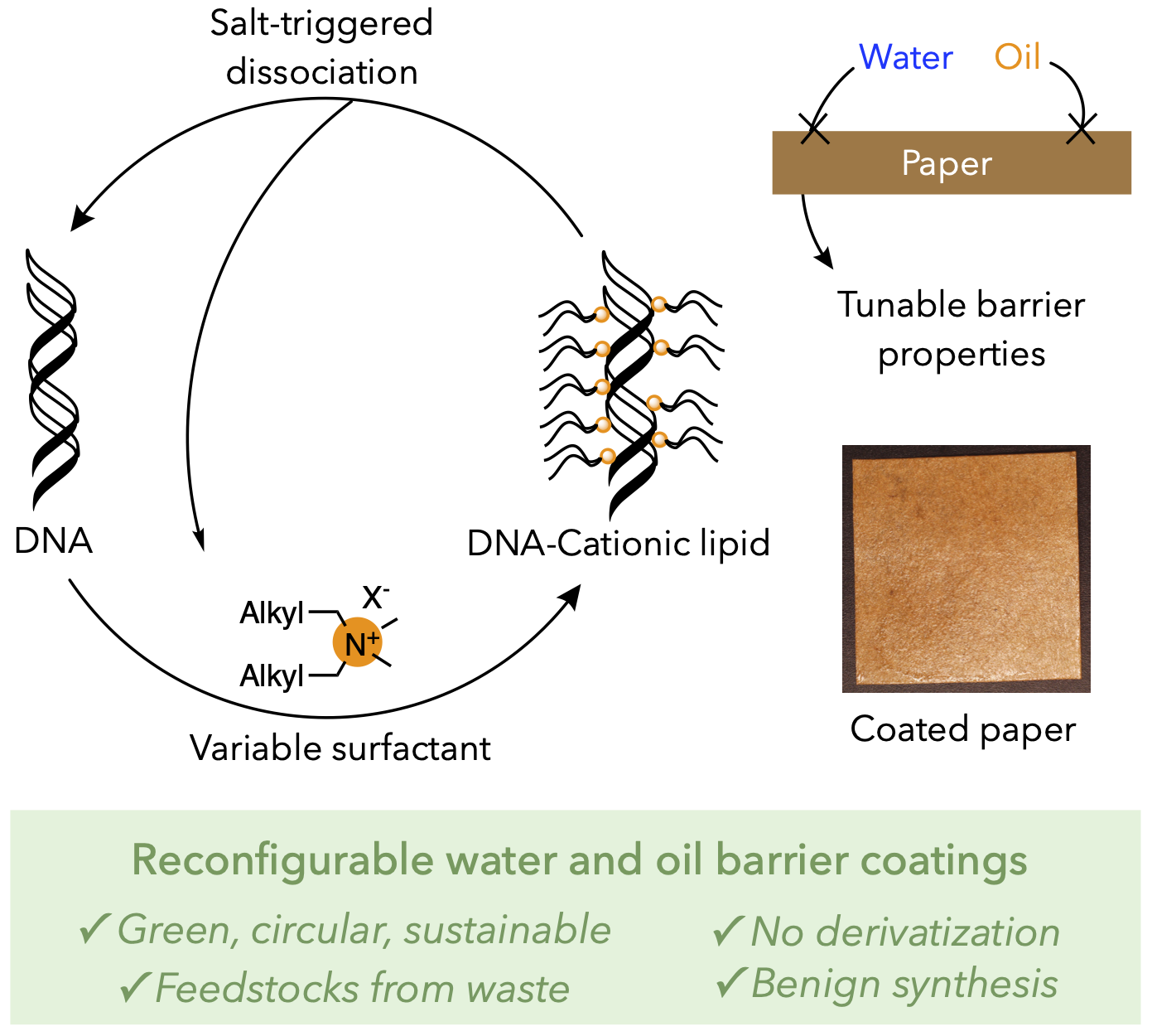 Reconfigurable DNA-surfactant coatings for tunable oil and water barriers. Kugelmass, L. H., James, B. D. ChemRxiv (2026).
