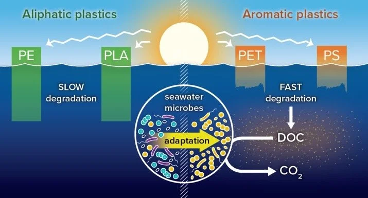 Photochemical Transformations of Consumer Plastics Shape the Diversity of Microbial Communities and Functions in the Coastal Ocean. Sun, Y., Frye-Jones, J., Aguilera, M. L., Grim, S. L., James, B. D., Reddy, C. M., Ward, C. P.  ChemRxiv (2025).