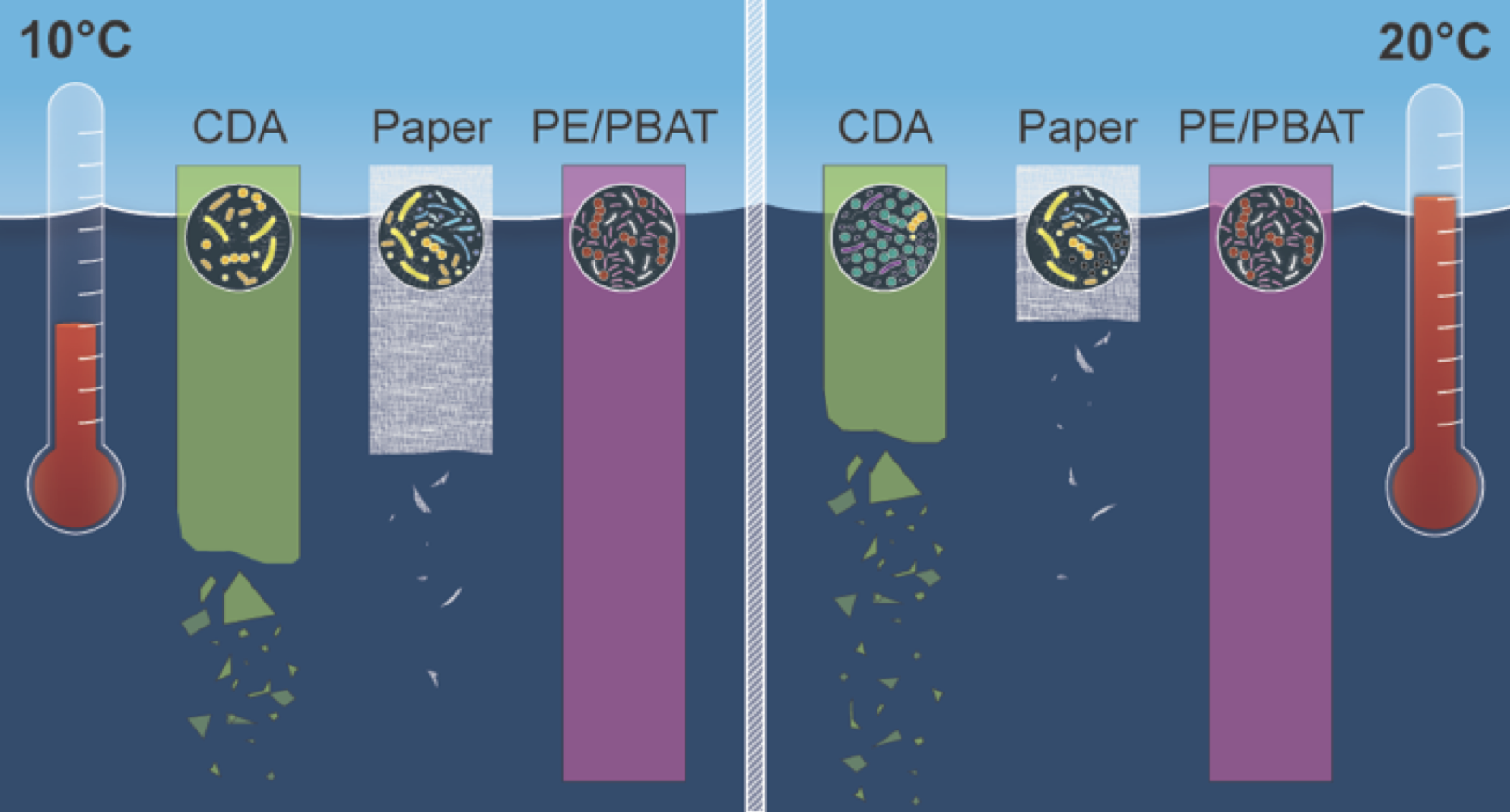 Temperature Controls the Lifetimes and Microbial Communities Degrading Cellulose Diacetate in the Coastal Ocean. Sun, Y., James, B. D., Houston, K., Edwards, B., Izallalen, M., Mazumder, S., Shankar, R., Reddy, C. M., Ward, C. P. Environmental Scienc