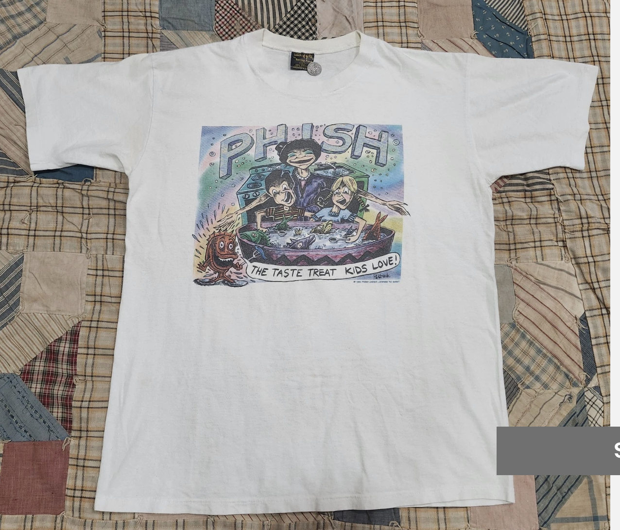 Phish 1994 Jim Pollock
