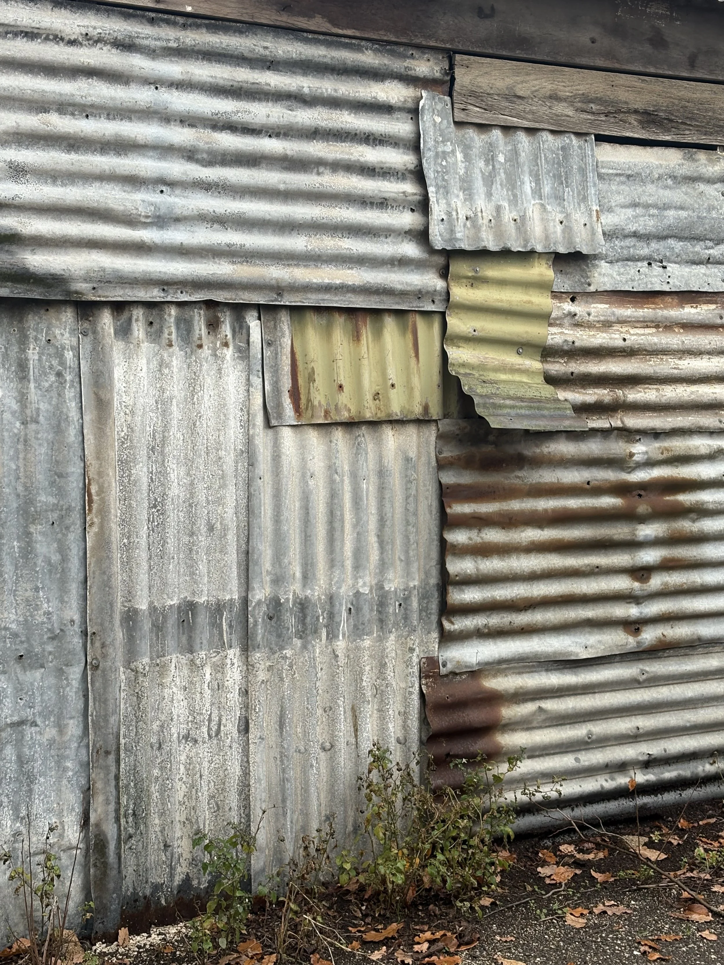 IMG_5219.jpeg