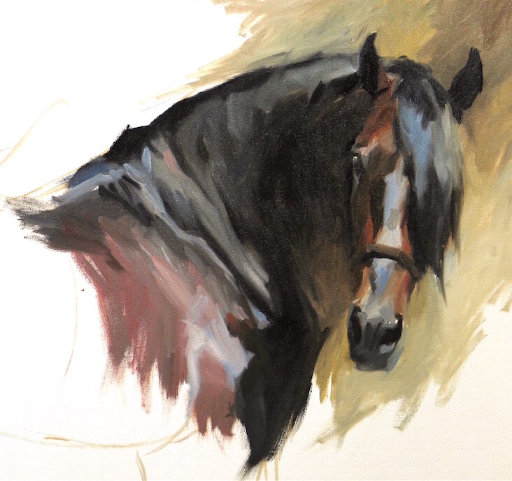 Head of an Andalusian.jpeg