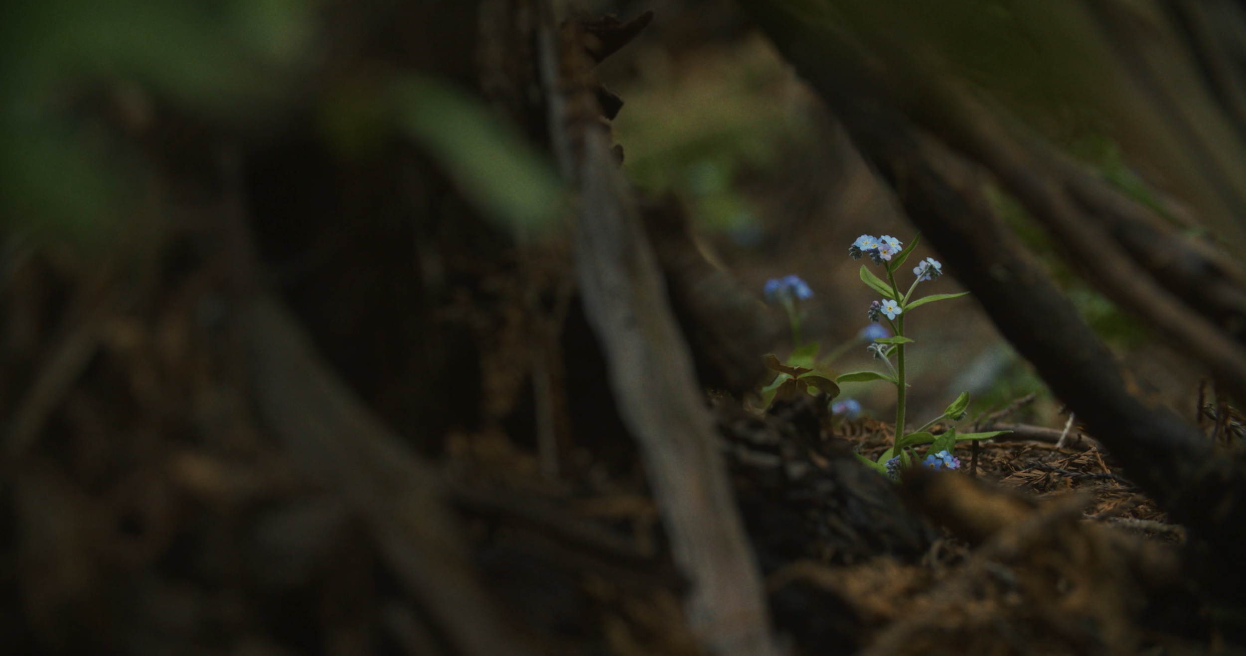 Sequence 03.00_05_45_17.Still041.png