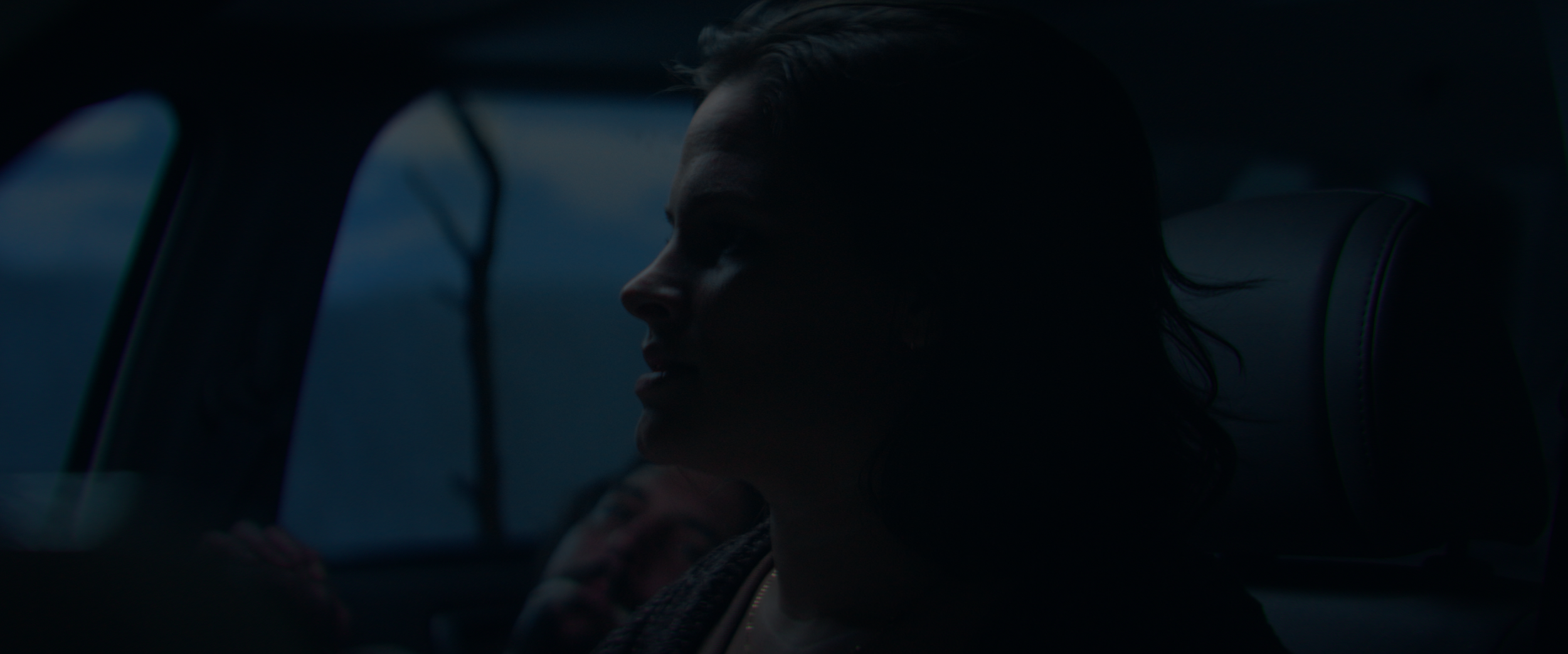 Fire - Samantha Laurenti, Actor
