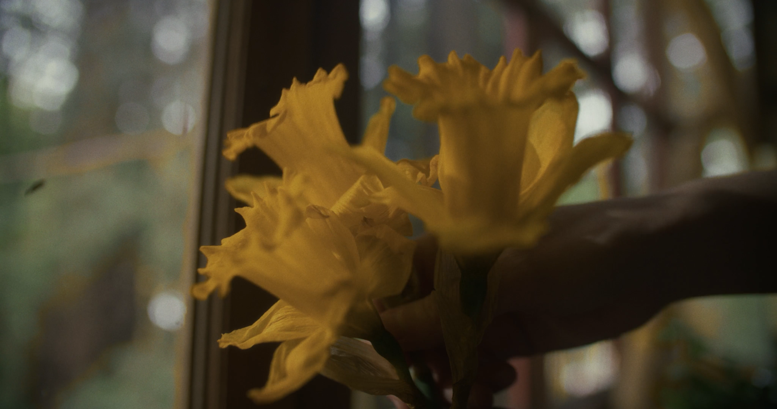 Sequence 03.00_08_09_00.Still060.png