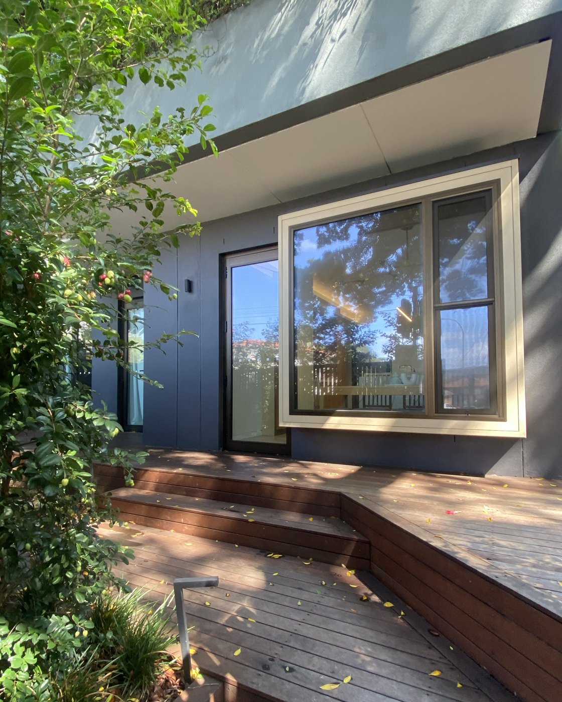 Bondi-outside-window-box.jpg