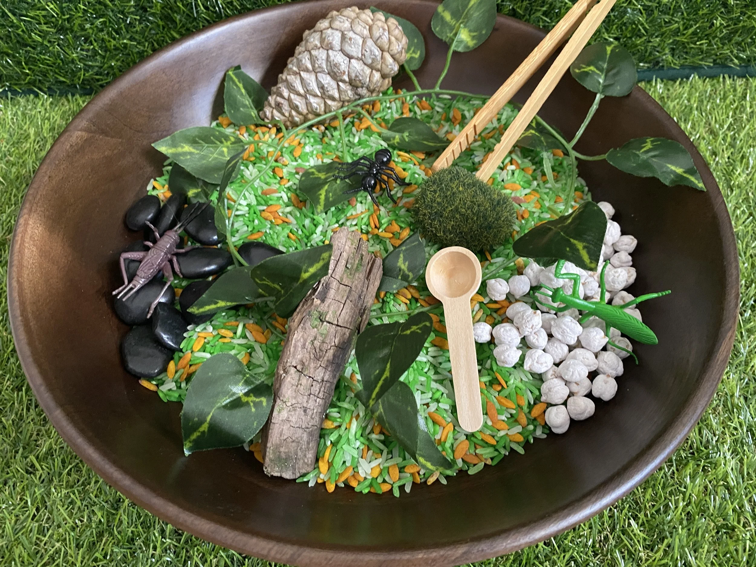insect bowl.JPG