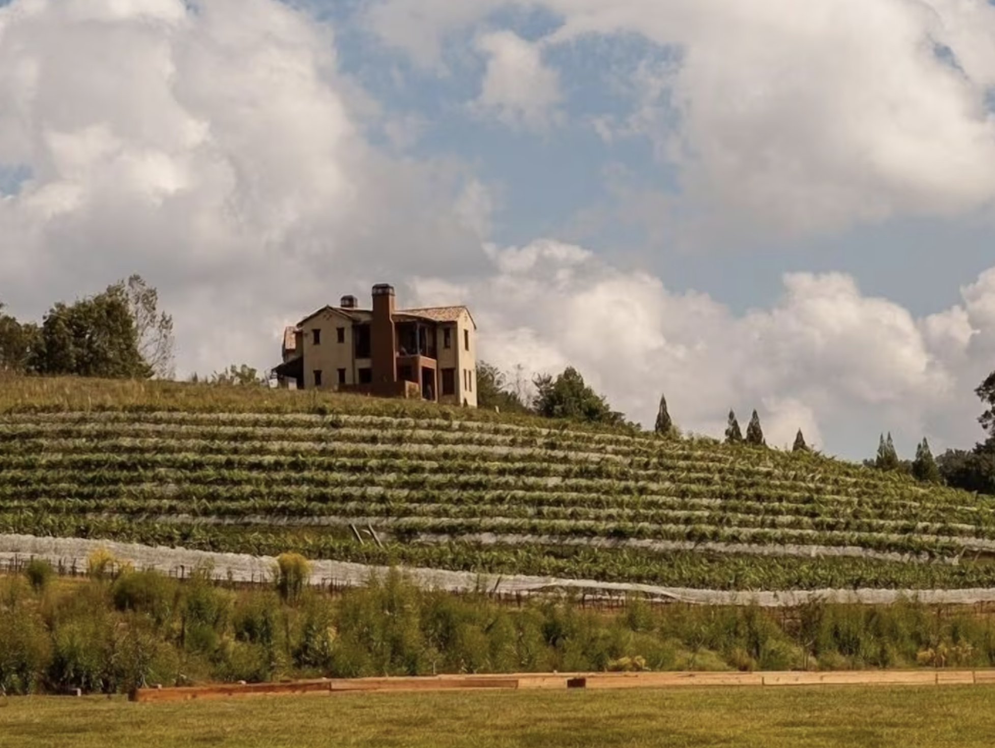 Villa Del Sole