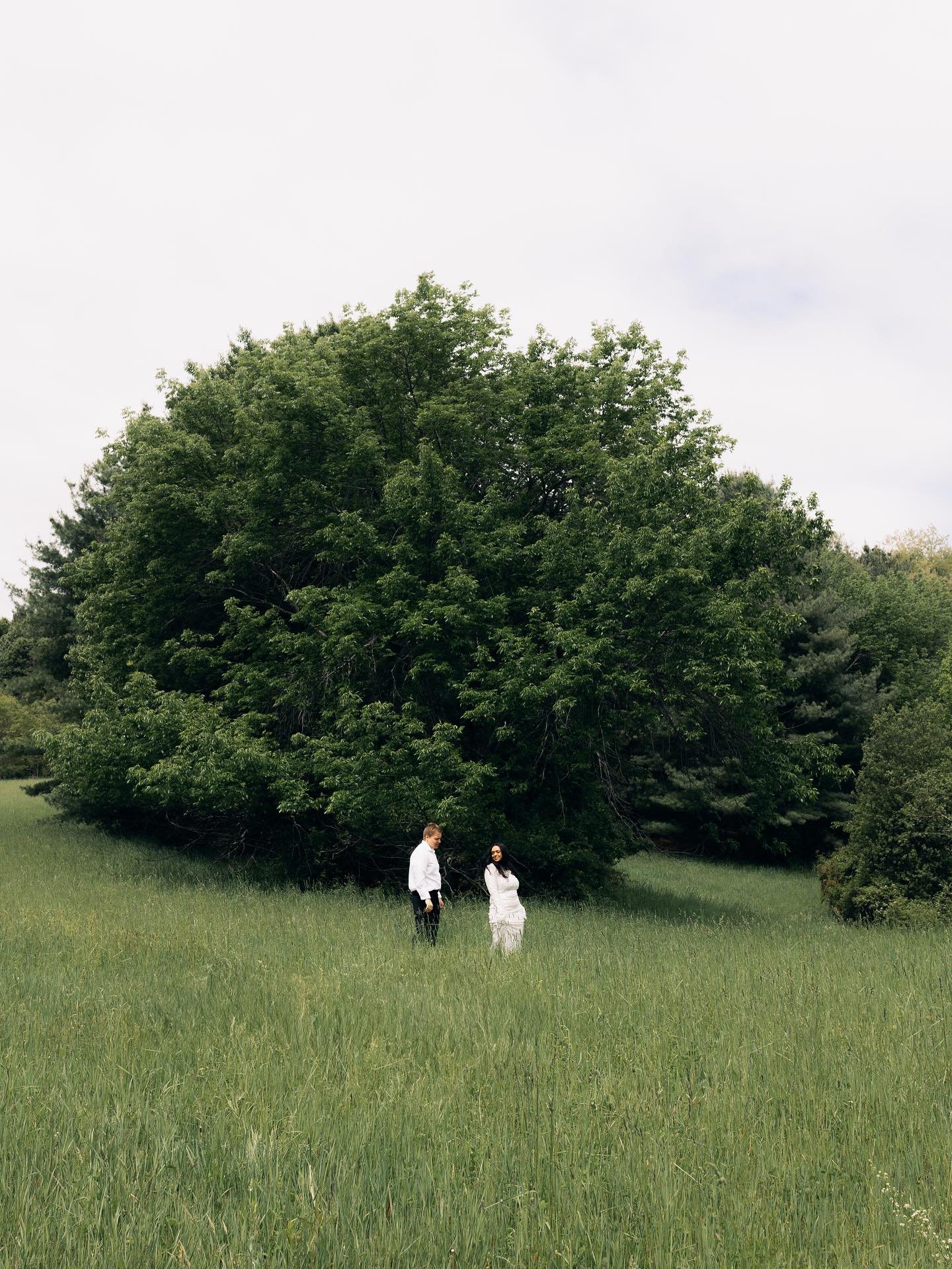 🌿 dreams of lovers