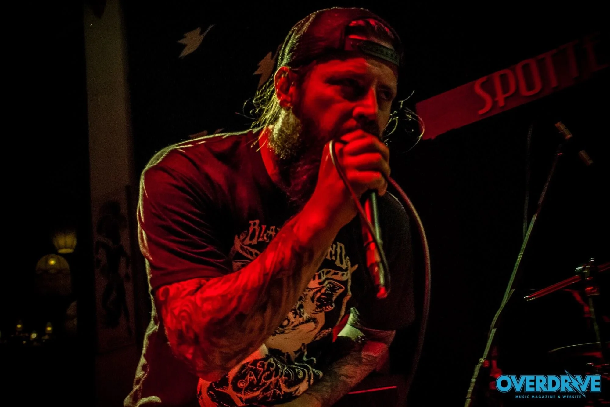 The Black Swamp - Luke.jpg