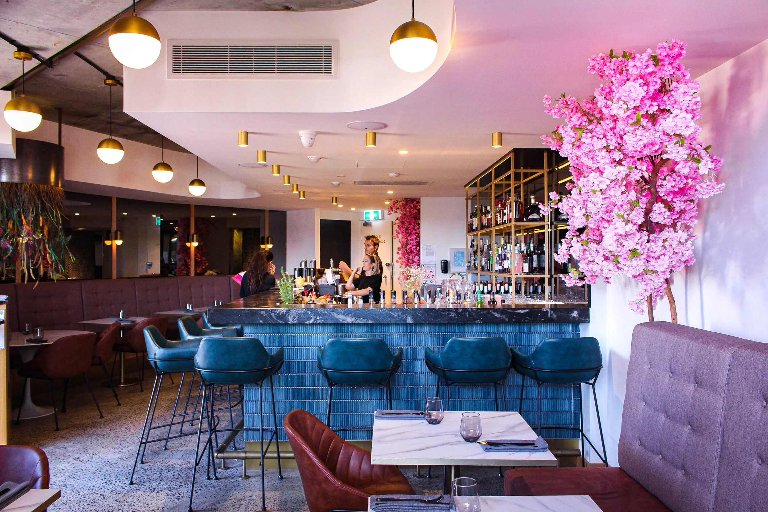 Mr. // Gold Coast, Queensland