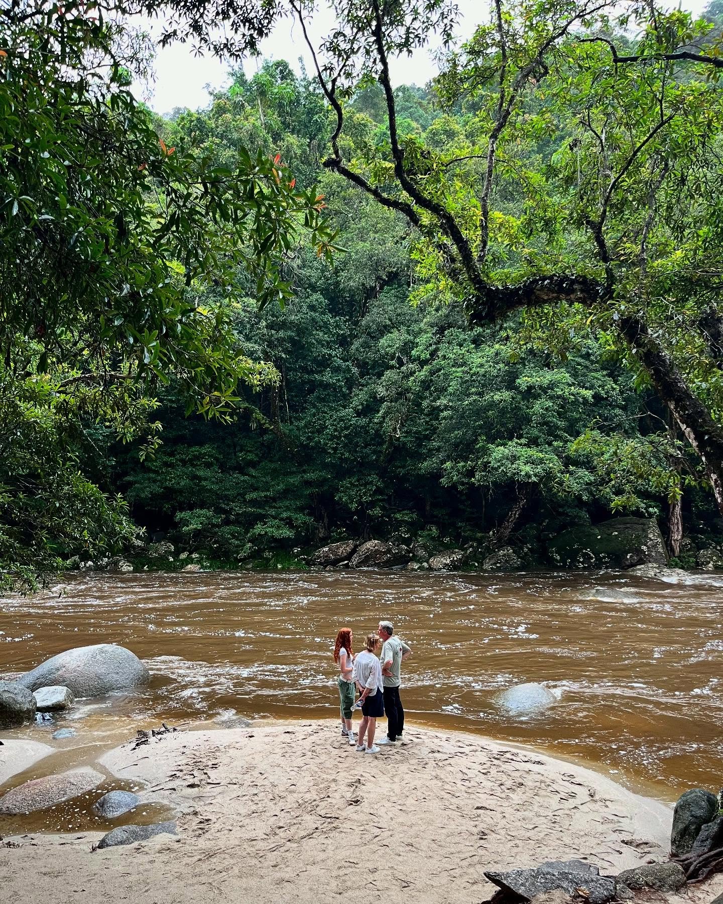| with the @SheratonGrandPortDouglas on the doorstep of two heritage-listed sites - the reef and the rainforest - I left my spot by the lagoon pool for some exploration. 🌱✨

#TheLuxeHotelier #PortDouglas #Daintree #PortDouglasDaintree #MossmanGorge