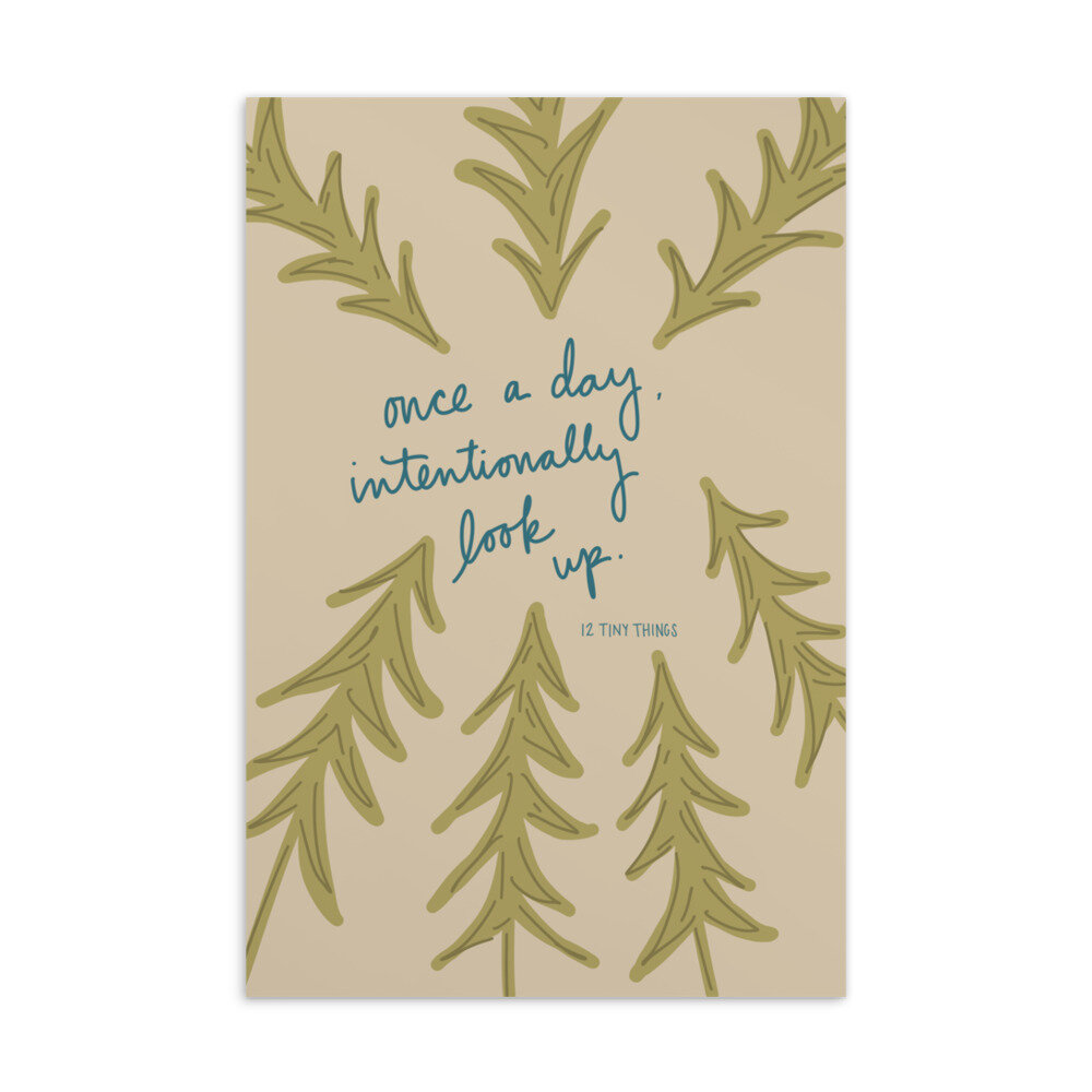 standard-postcard-4x6-front-606fb4b0a0566.jpg