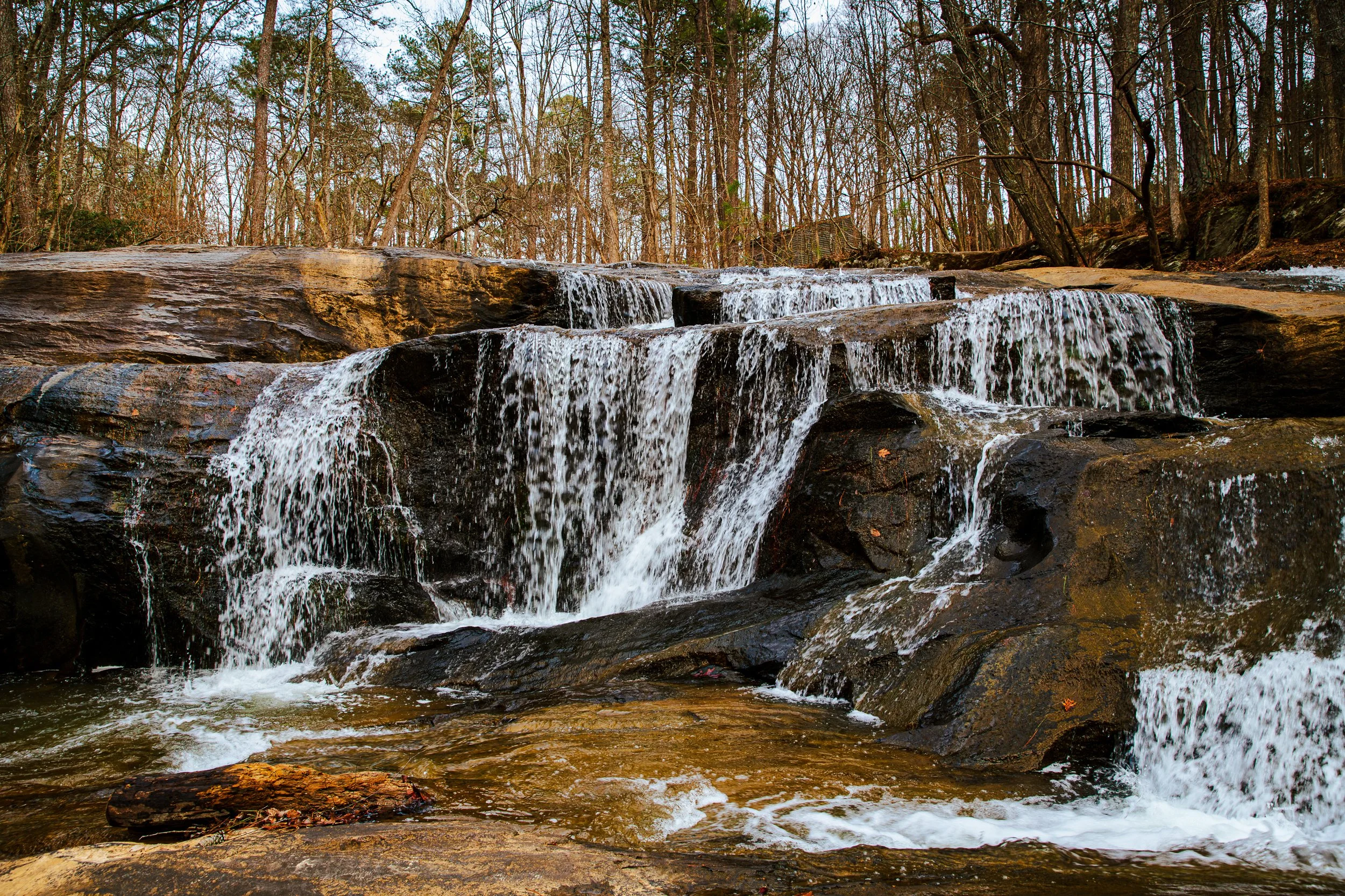 Allatoona-Falls-2-8-2026-3.jpg