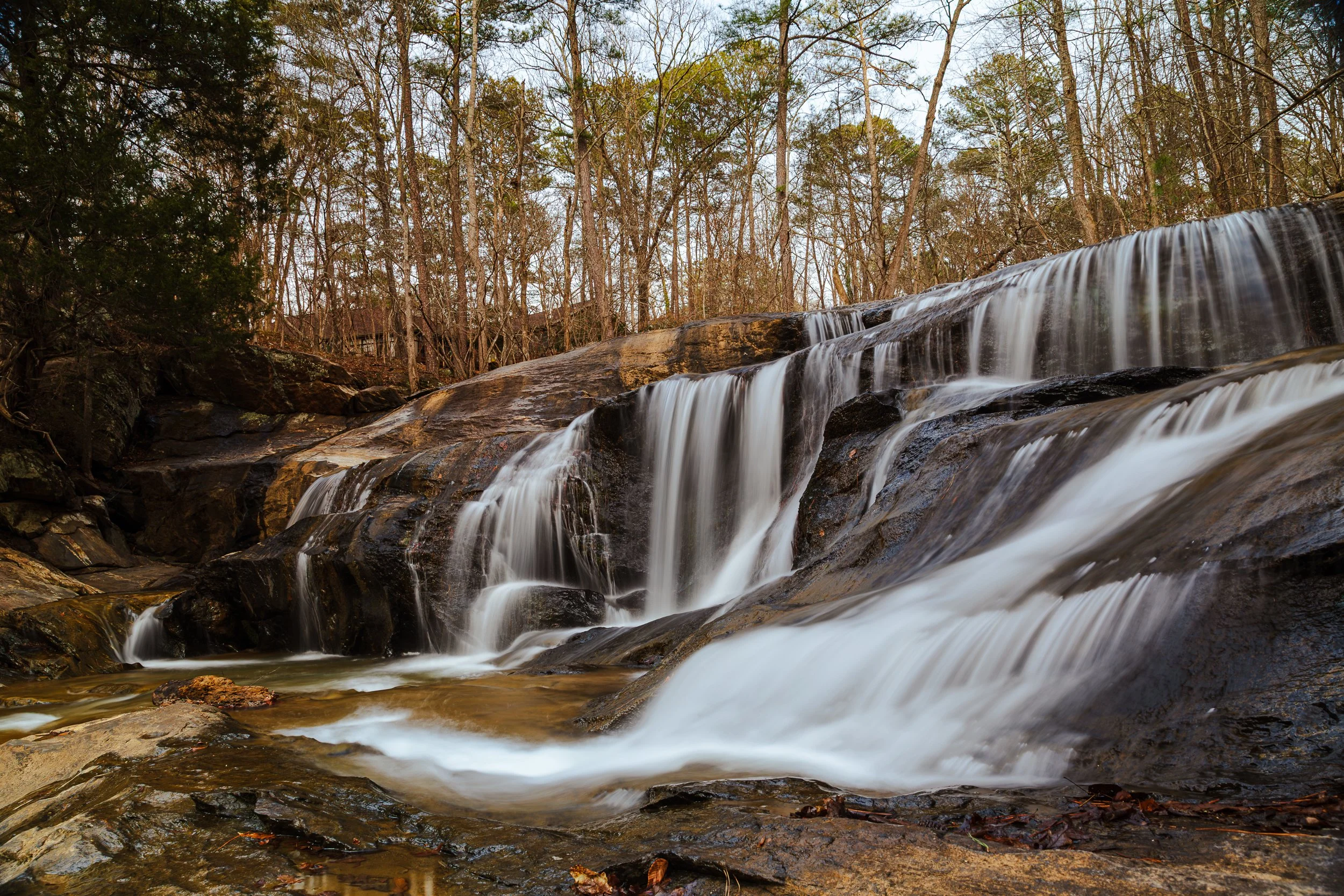 Allatoona-Falls-2-8-2026-5.jpg