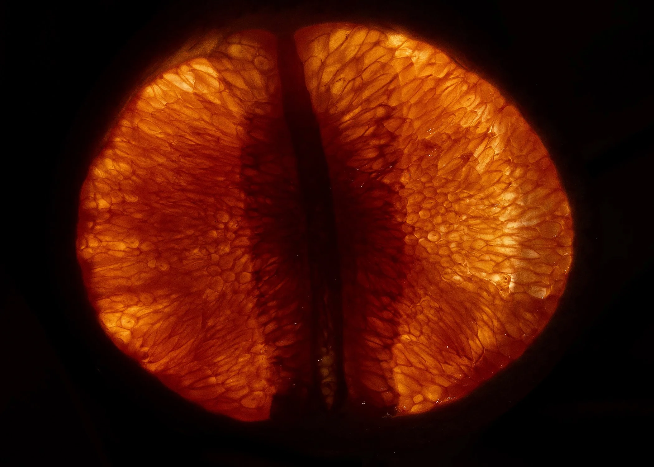 Orange 2021_Angelica Borowski-Recovered - Angelica Borowski.jpg
