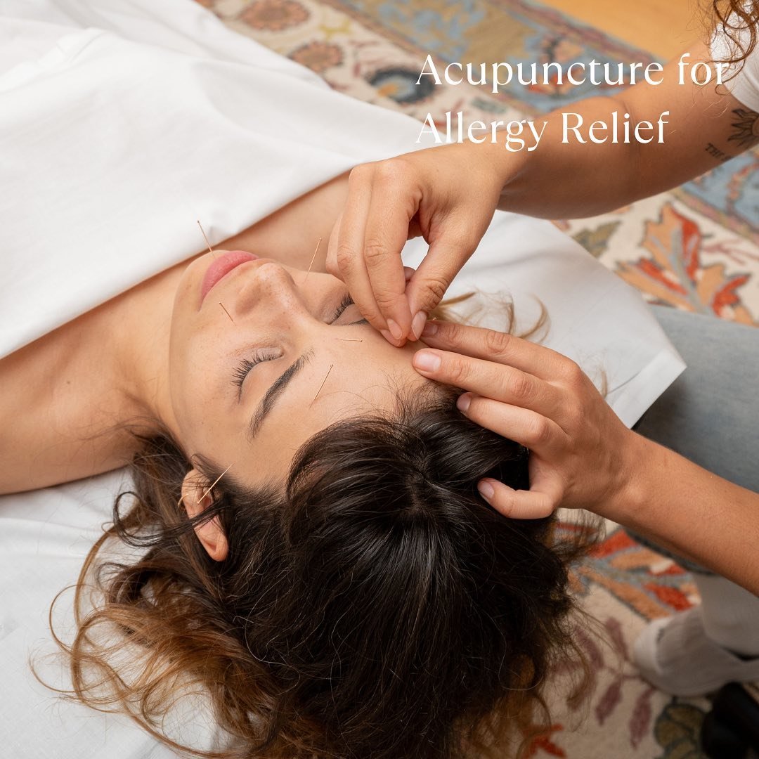 Allergy season hitting you hard? 

Get some all natural relief with acupuncture + herbs this spring! 

Often times over the counter remedies can come with a host of side effects that make it difficult to get through your daily tasks. Acupuncture + he
